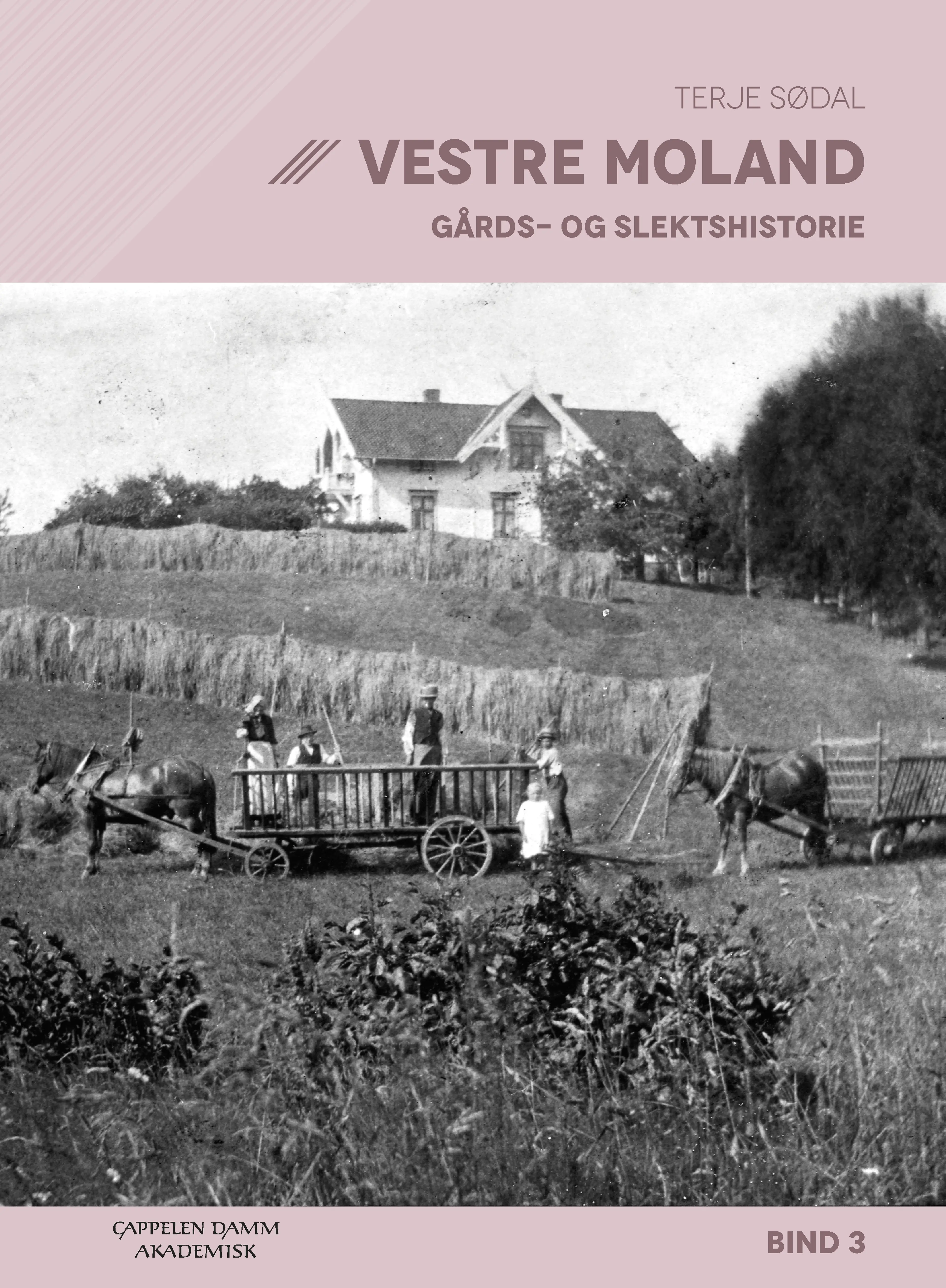 Omslag Vestre Moland av Terje Sødal (Innbundet)