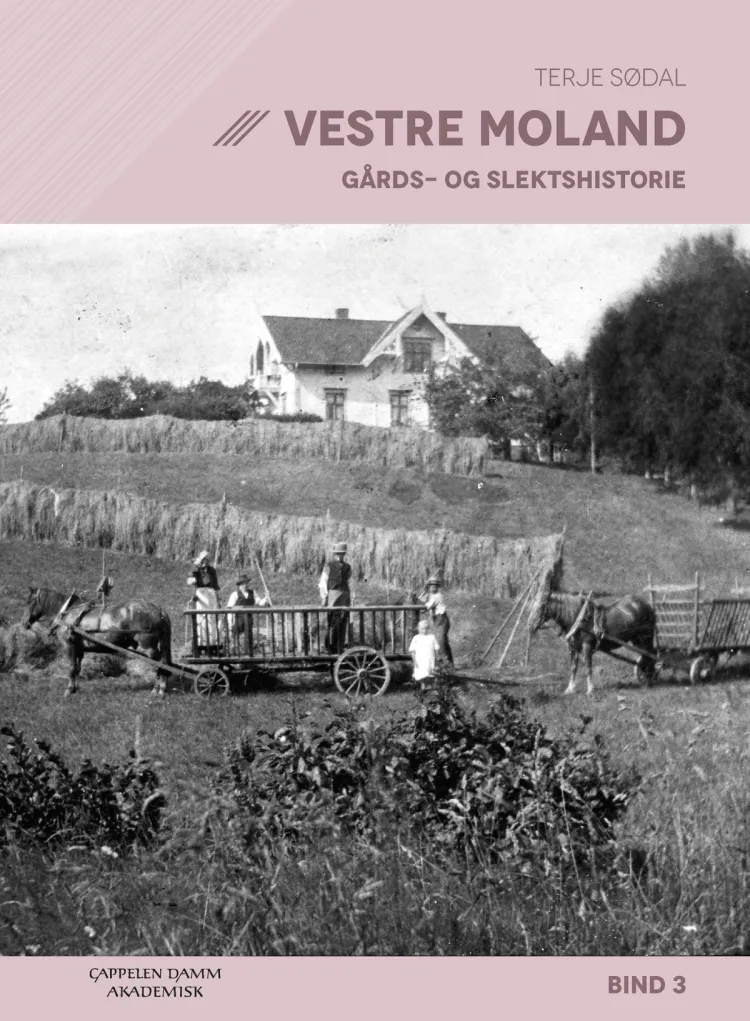 Omslag Vestre Moland av Terje Sødal (Innbundet)