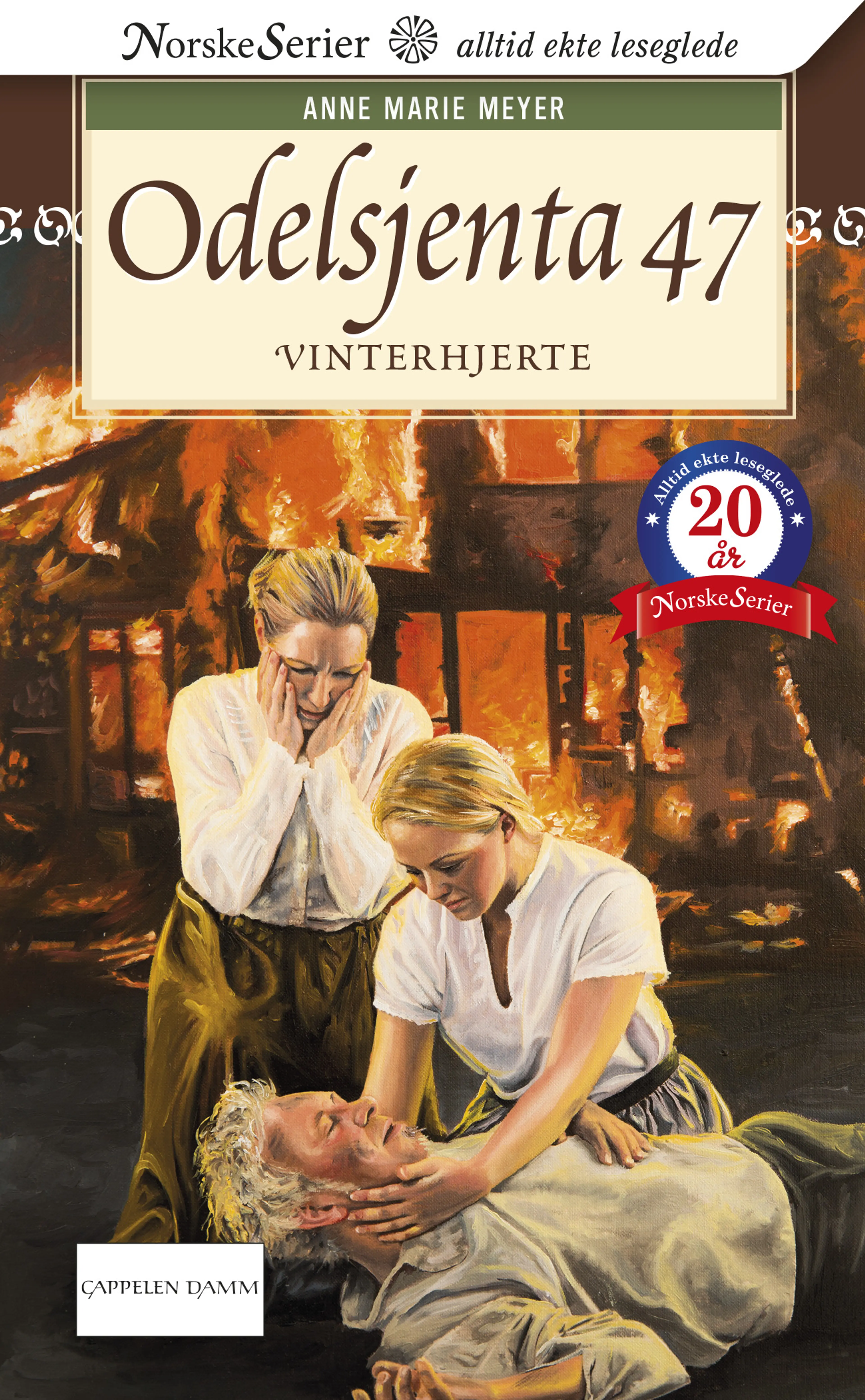 Omslag Vinterhjerte av Anne Marie Løvlie Meyer (Ebok)