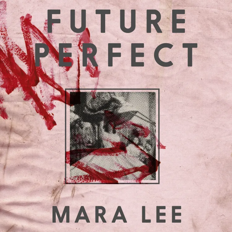 Omslag Future perfect av Mara Lee (Lydbok)