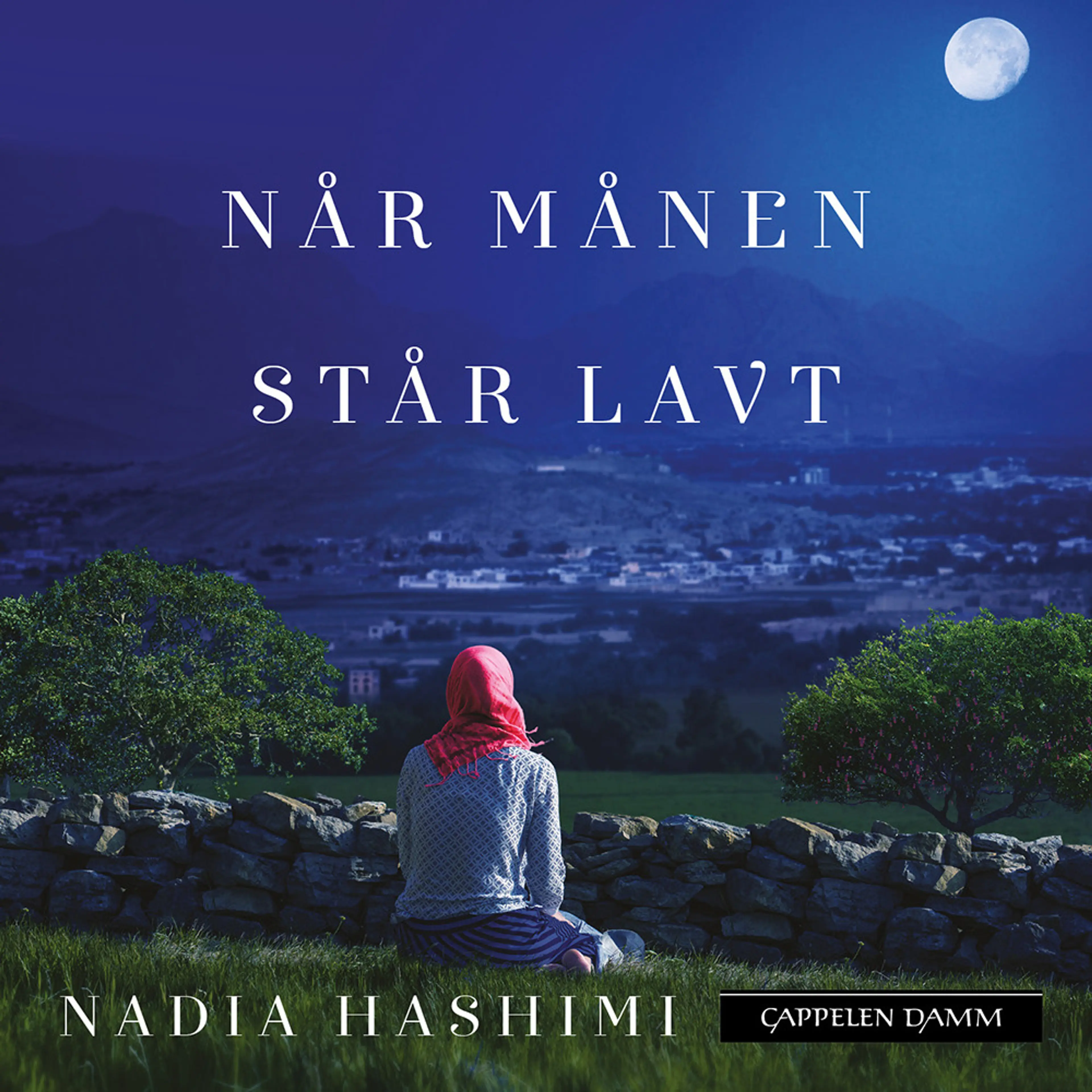 Omslag Når månen står lavt av Nadia Hashimi (Lydbok)