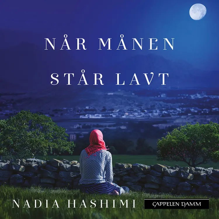 Omslag Når månen står lavt av Nadia Hashimi (Lydbok)