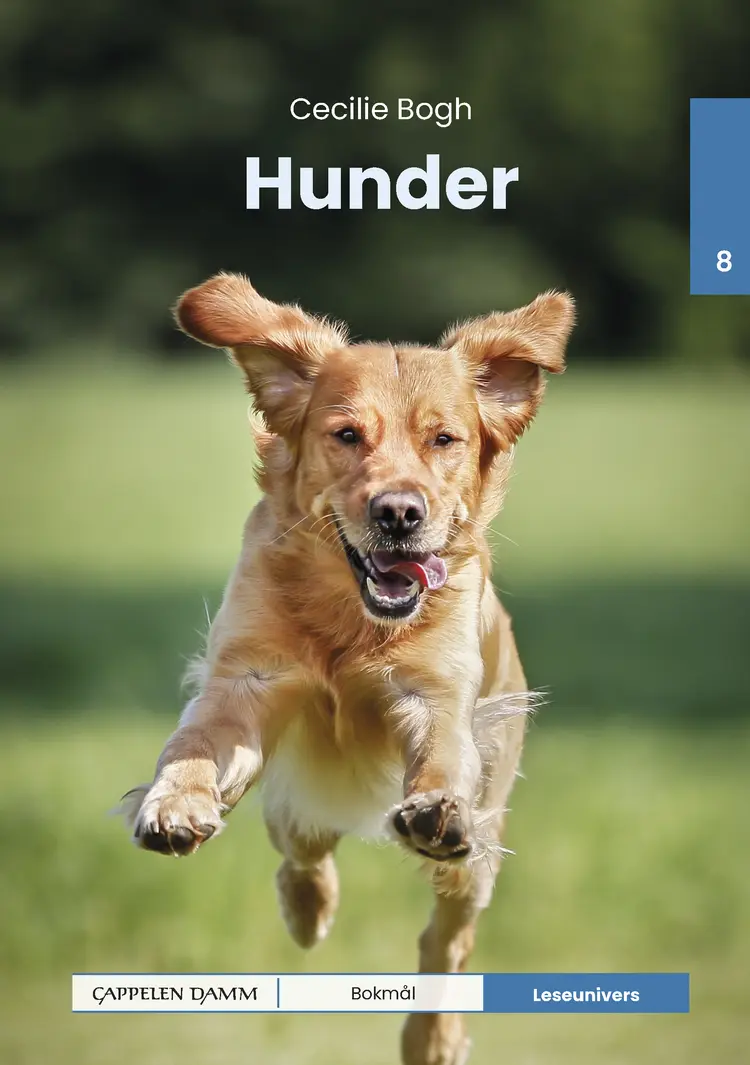 Omslag Leseunivers 8: Hunder av Cecilie Bogh (Innbundet)