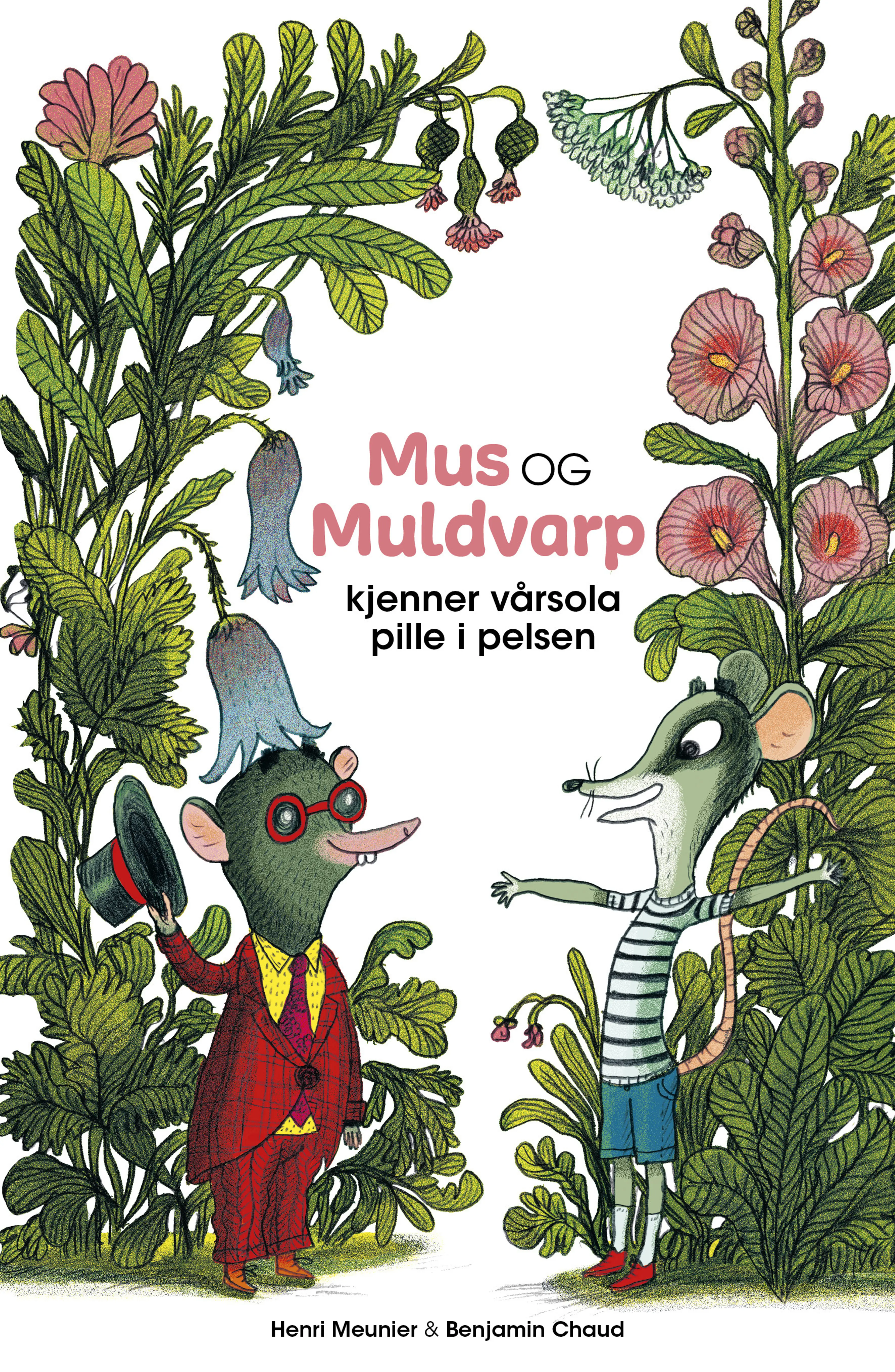 Omslag Mus og Muldvarp kjenner vårsola pille i pelsen av Henri Meunier (Innbundet)