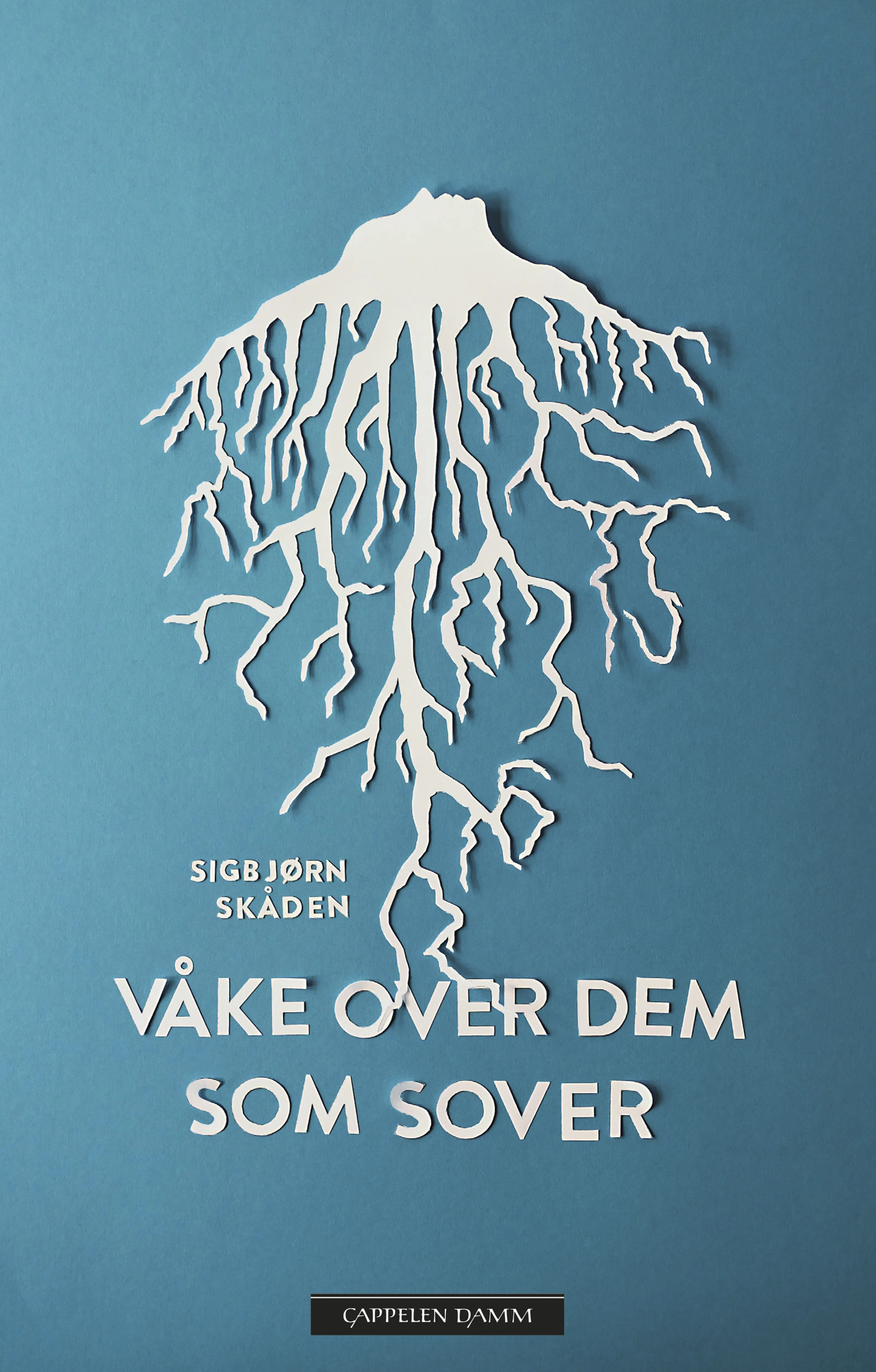 Omslag Våke over dem som sover av Sigbjørn Skåden (Ebok)