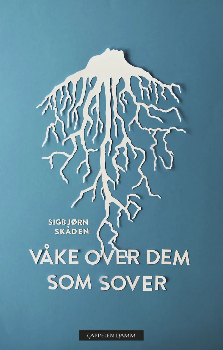 Omslag Våke over dem som sover av Sigbjørn Skåden (Ebok)