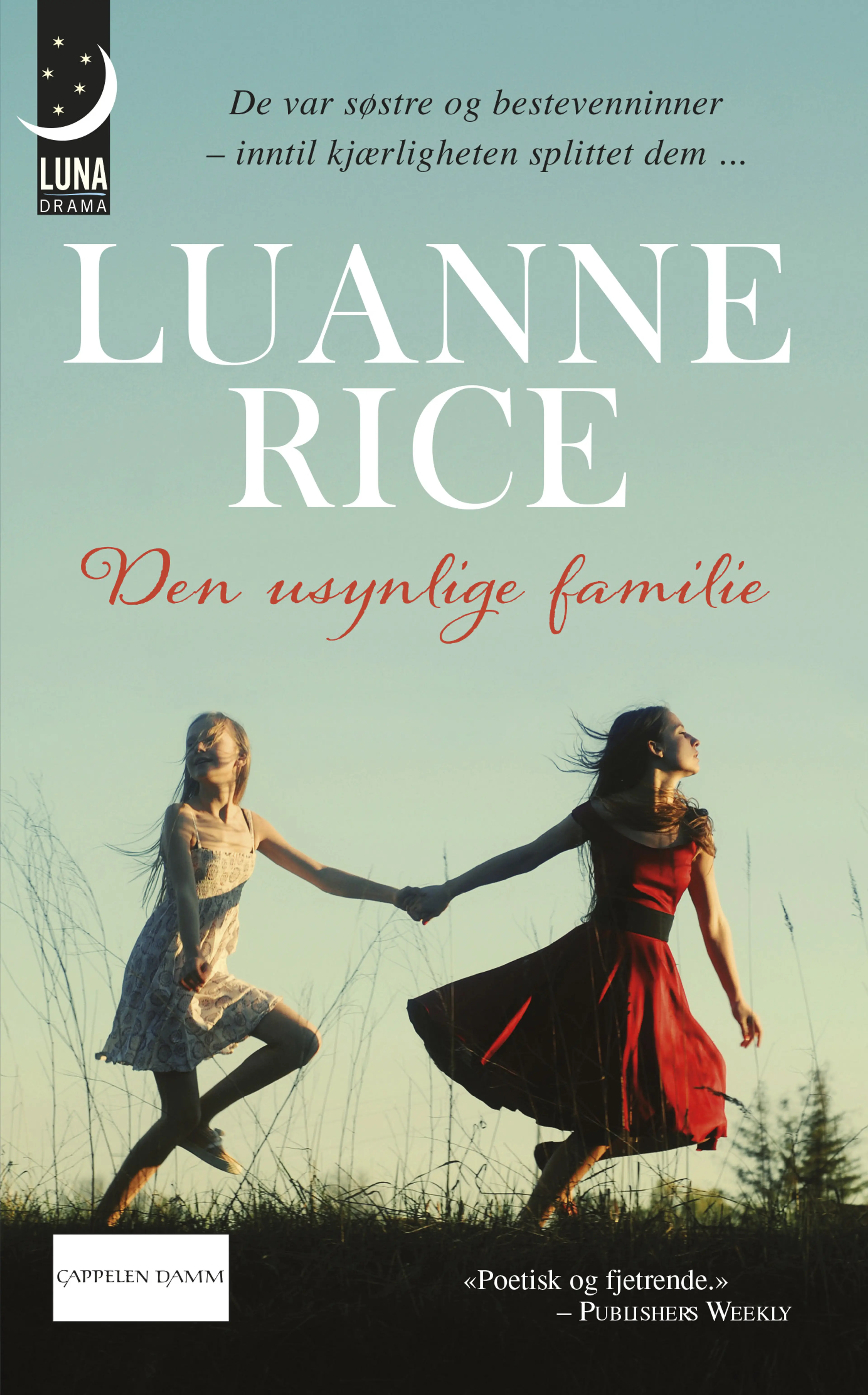 Omslag Den usynlige familie av Luanne Rice (Ebok)