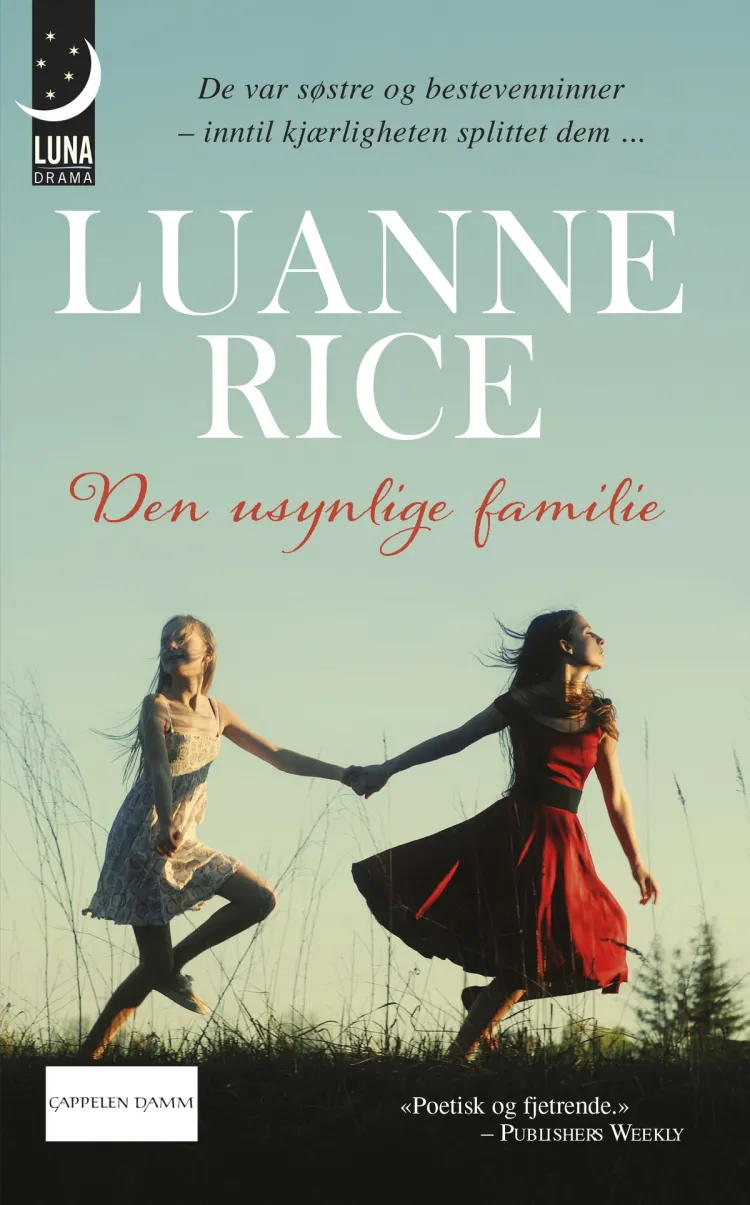 Omslag Den usynlige familie av Luanne Rice (Ebok)