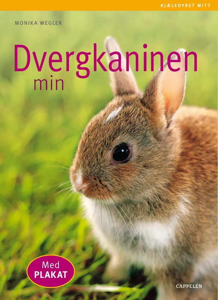 Omslag Dvergkaninen min av Monika Wegler (Heftet)