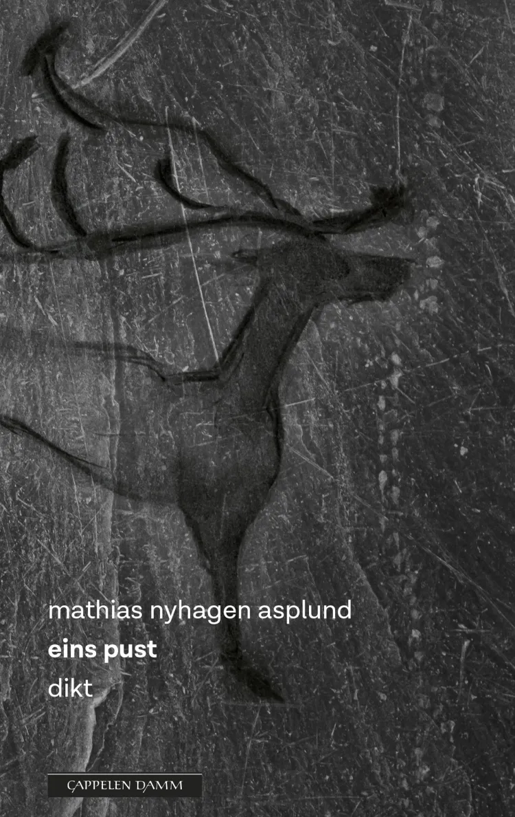 Omslag eins pust av Mathias Nyhagen Asplund (Ebok)