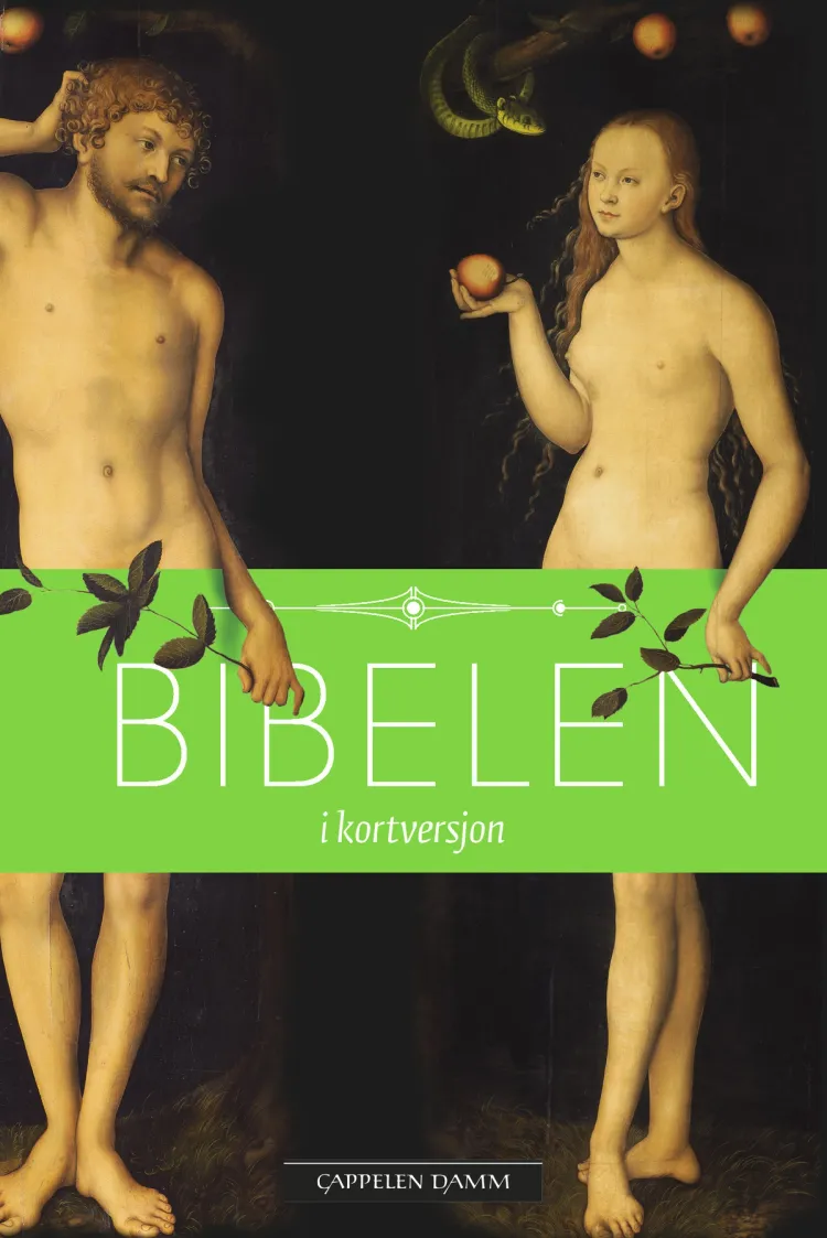 Omslag Bibelen i kortversjon (Ebok)