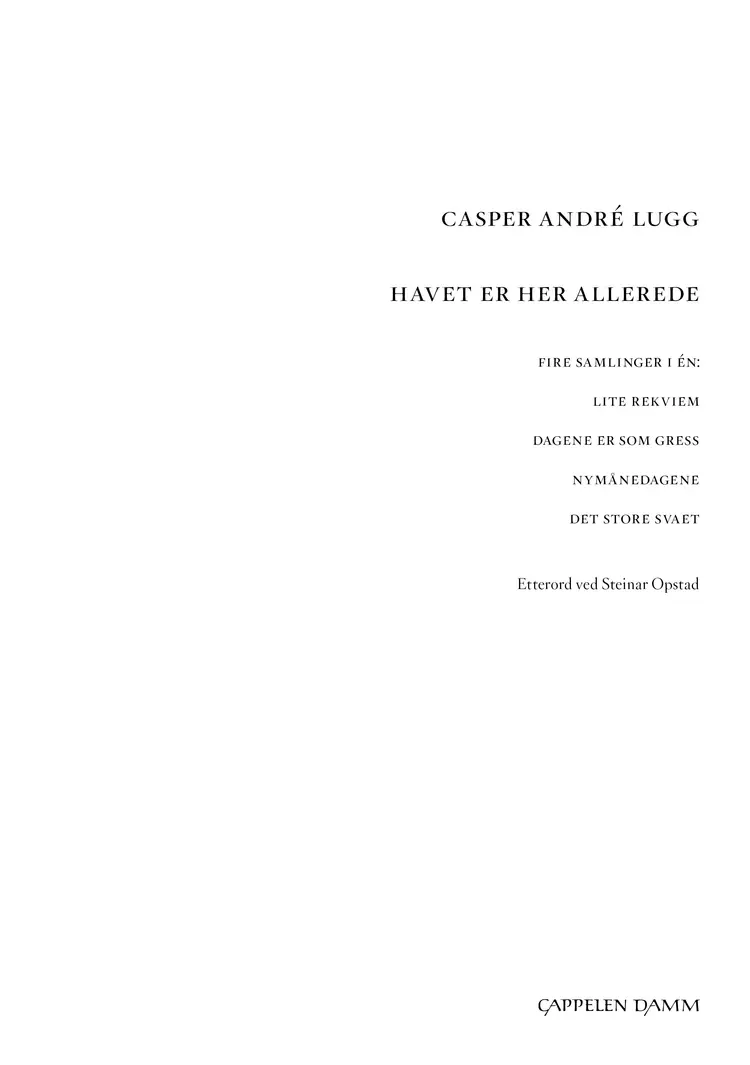 Omslag Havet er her allerede av Casper André Lugg (Heftet)