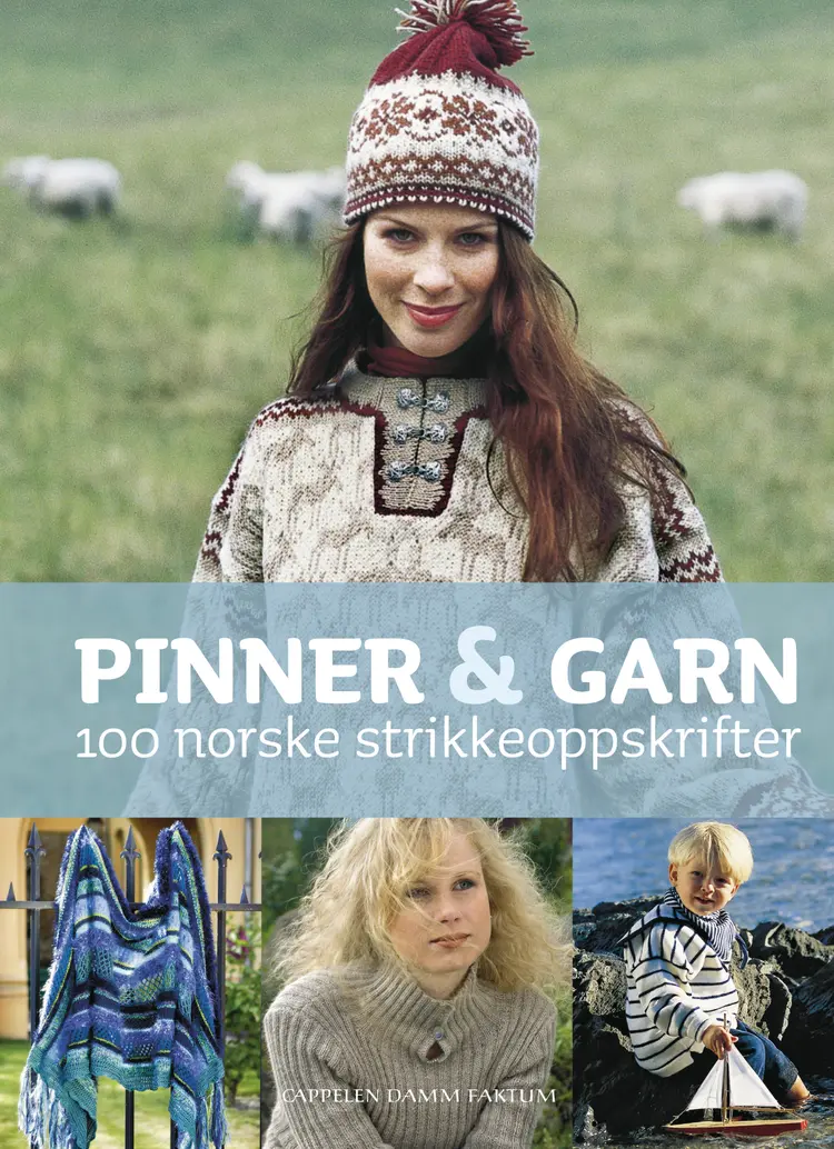 Omslag Pinner & garn (Innbundet)