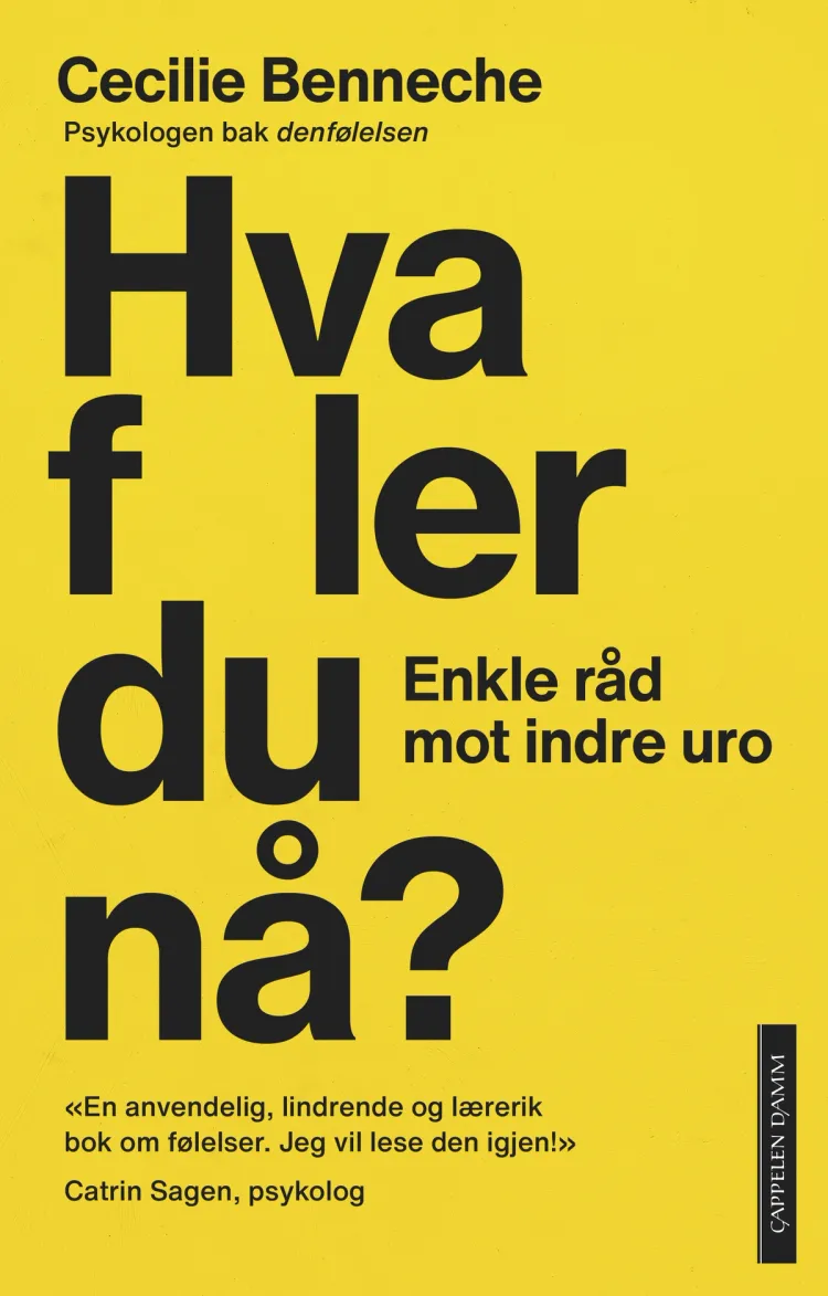Omslag Hva føler du nå? av Cecilie Benneche (Heftet)