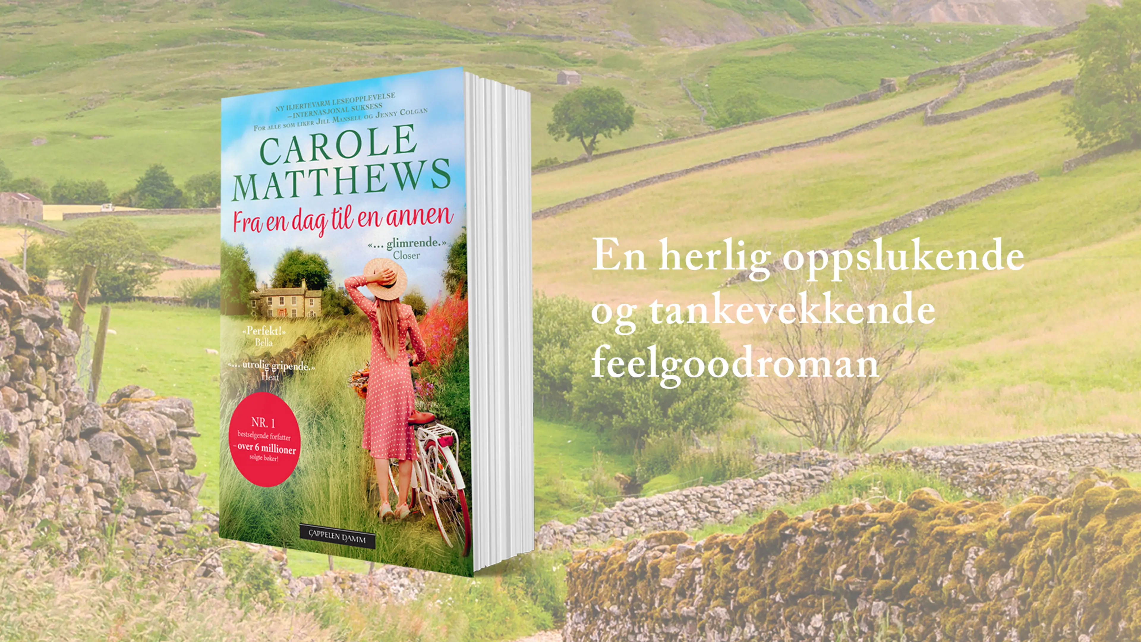 Boken Fra en dag til en annen med et bilde av jorder og steinmur som bakgrunn