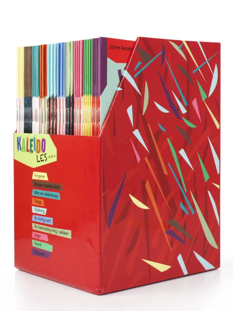 Omslag Kaleido Les Nivå 4 (boks) av Bjørn Arild Ersland og Janne Aasebø Johnsen (Eske)