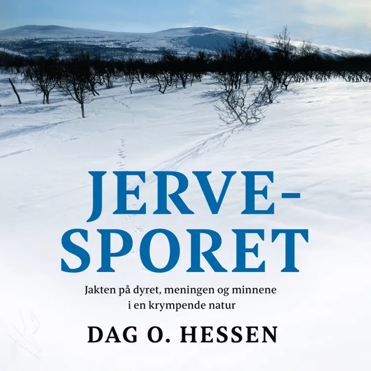 Omslag Jervesporet - Jakten på dyret, meningen og minnene i en krympende natur av Dag O. Hessen (Lydbok)