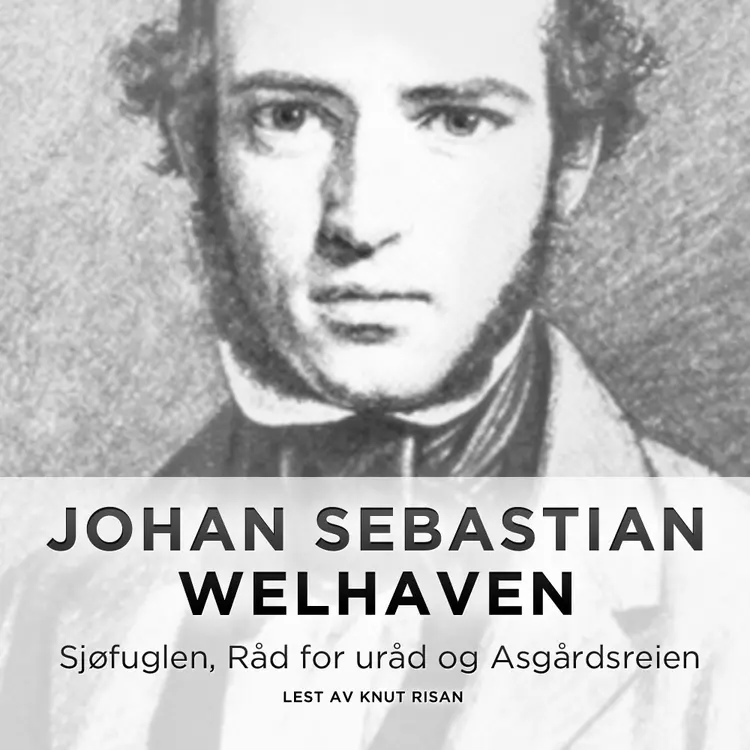 Omslag Sjøfuglen, Råd for uråd og Asgårdsreien av Johan Sebastian Welhaven (Lydbok)