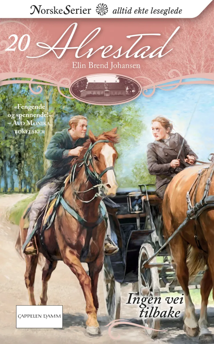 Omslag Ingen vei tilbake av Elin Brend Johansen (Ebok)