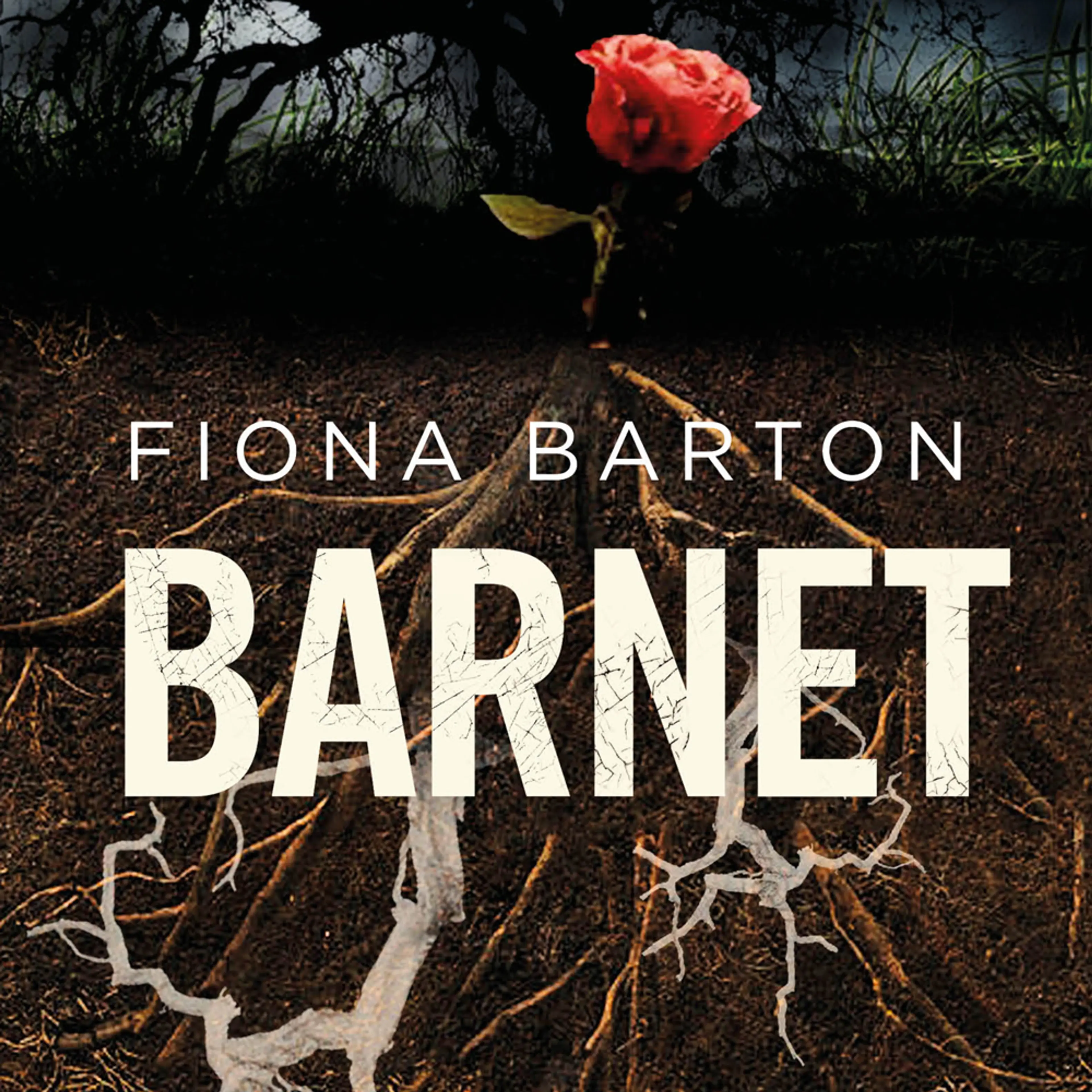 Omslag Barnet av Fiona Barton (Lydbok)