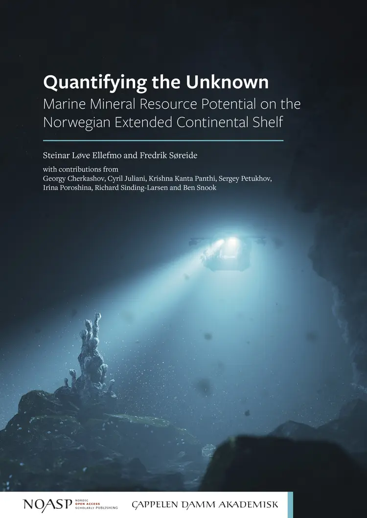 Omslag Quantifying the Unknown av Steinar Løve Ellefmo and Fredrik Søreide (Ebok)