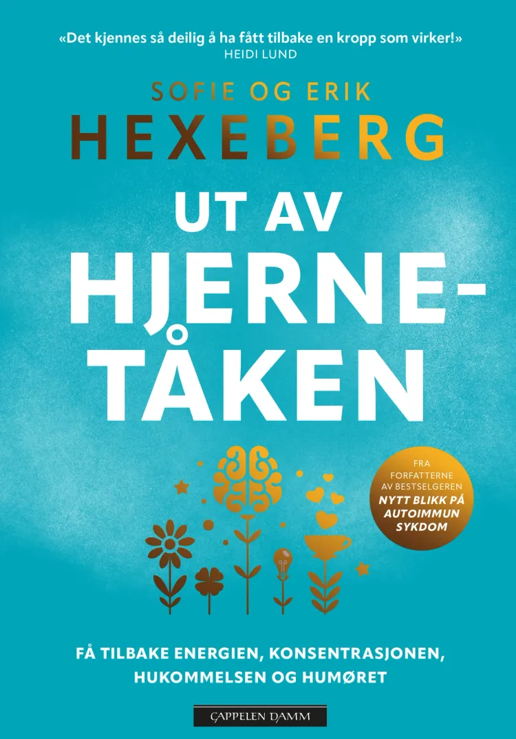 Omslag Ut av hjernetåken av Erik Hexeberg og Sofie Hexeberg (Ebok)