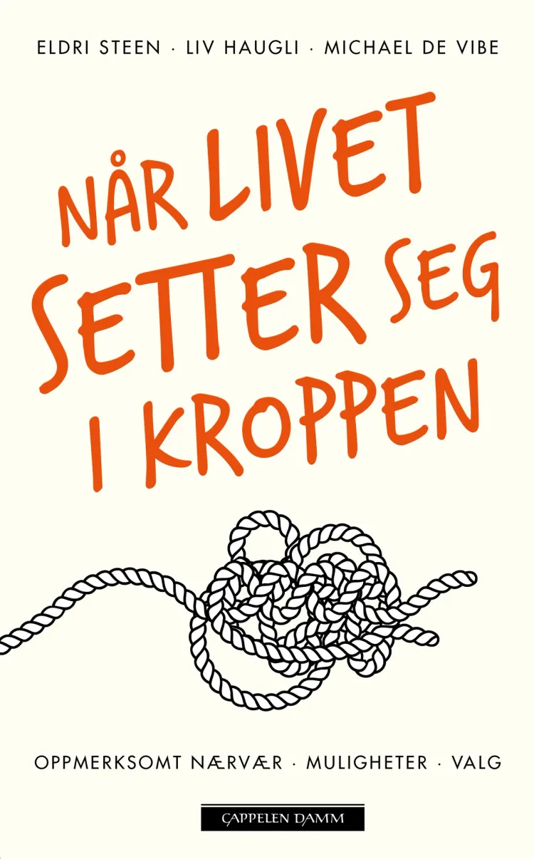 Omslag Når livet setter seg i kroppen av Eldri Steen, Liv Haugli og Michael de Vibe (Ebok)