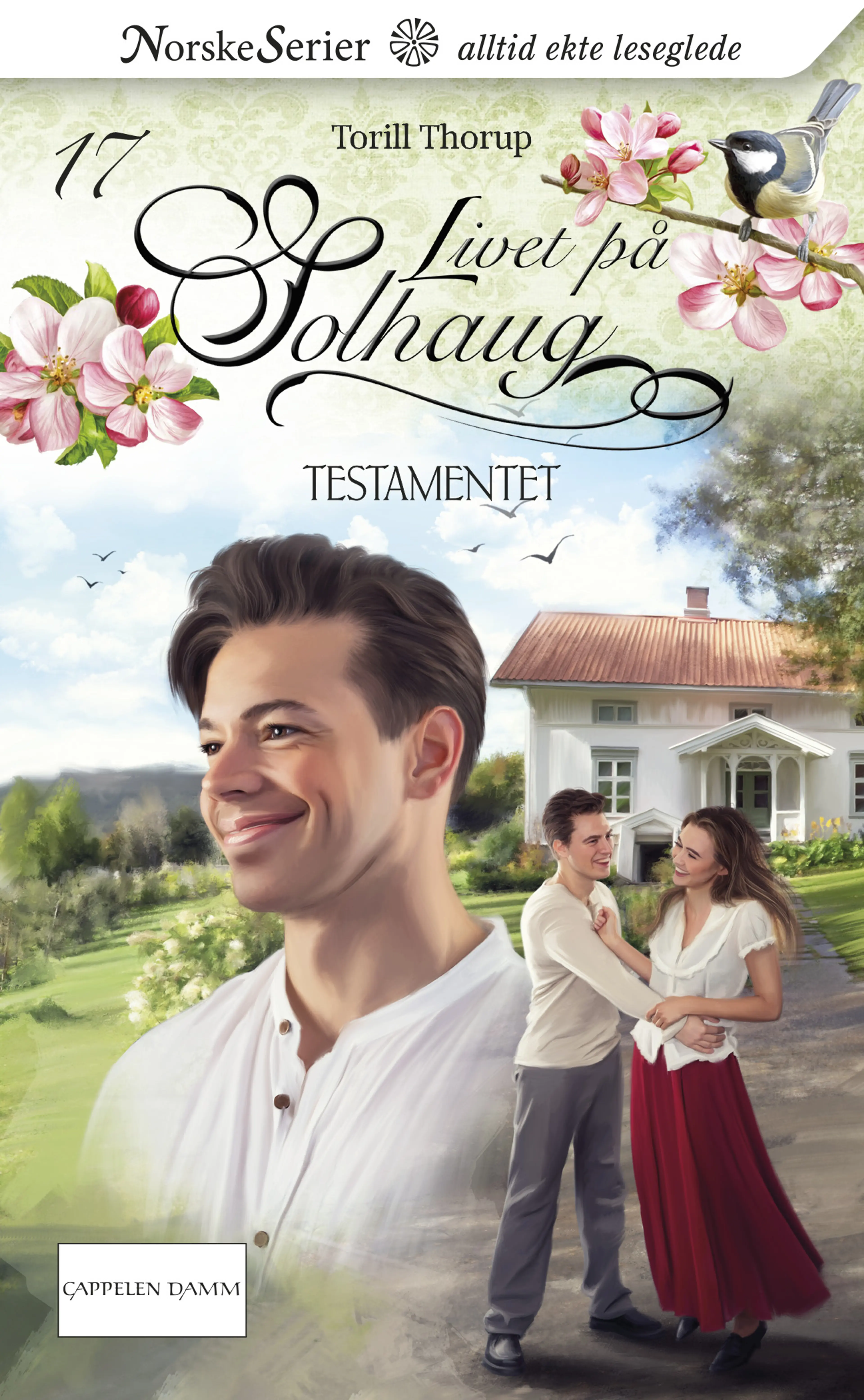 Omslag Testamentet av Torill Thorup (Heftet)