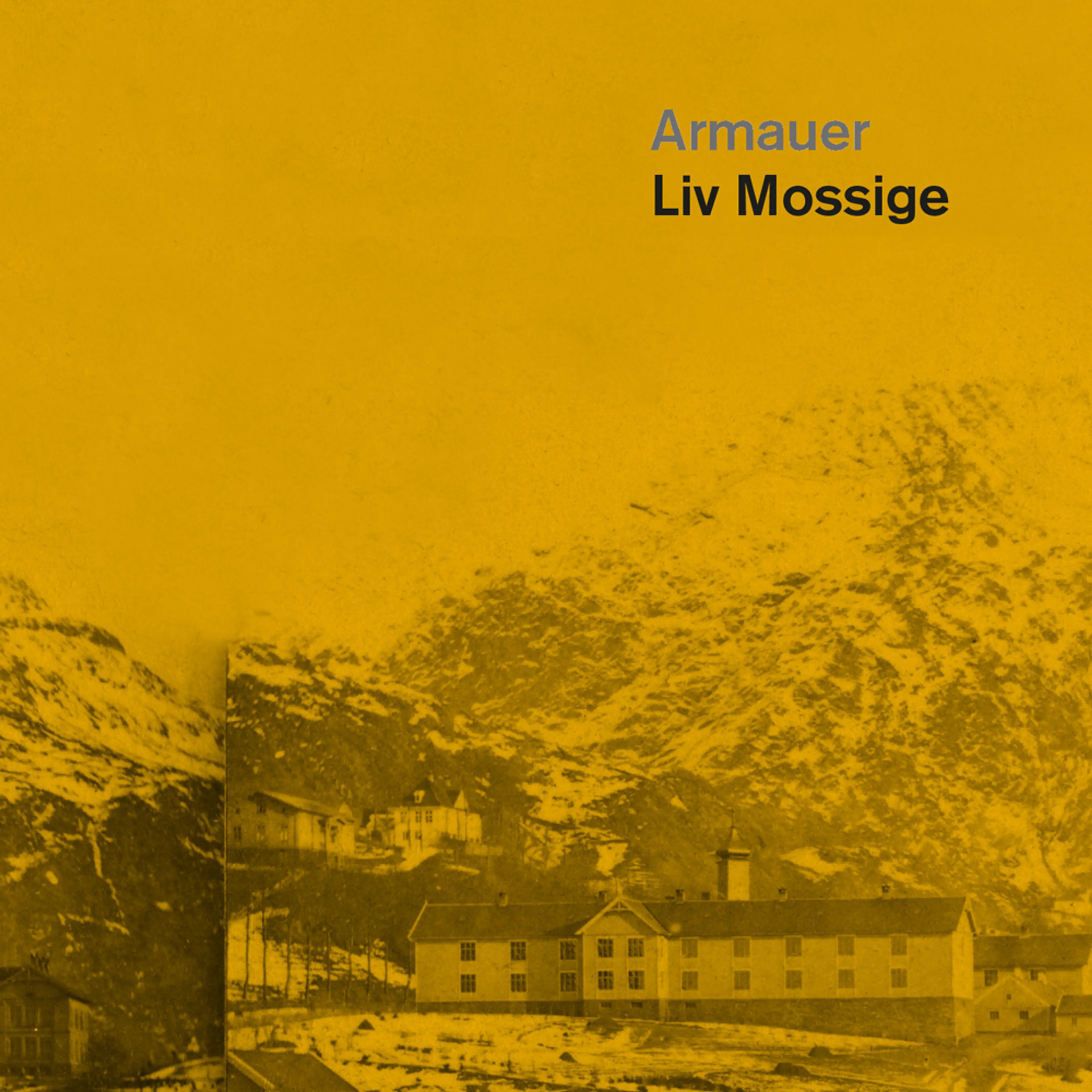 Omslag Armauer av Liv Mossige (Lydbok)