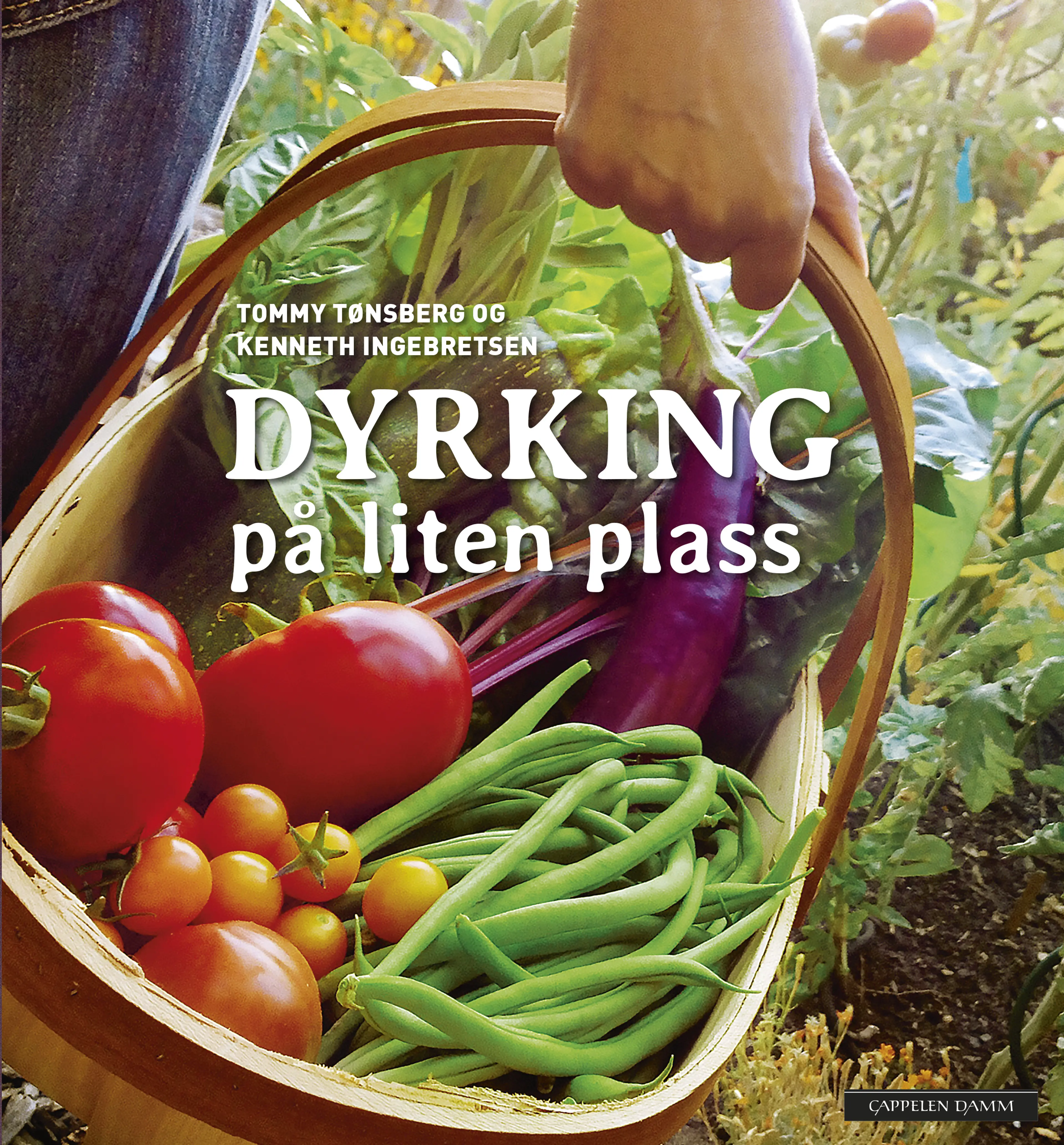 Omslag Dyrking på liten plass av Tommy Tønsberg og Kenneth Ingebretsen (Innbundet)