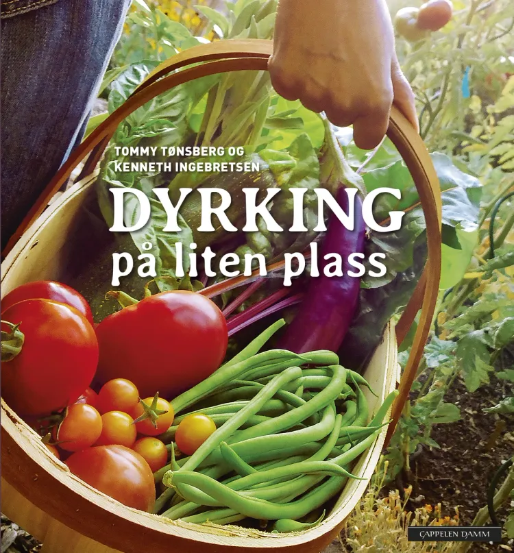 Omslag Dyrking på liten plass av Tommy Tønsberg og Kenneth Ingebretsen (Innbundet)