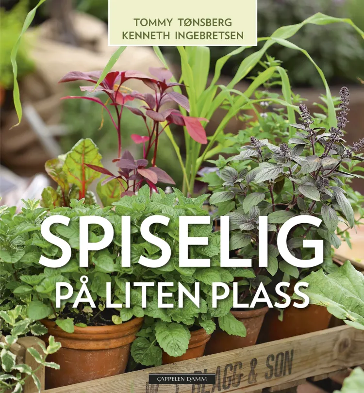 Omslag Spiselig på liten plass av Tommy Tønsberg og Kenneth Ingebretsen (Innbundet)