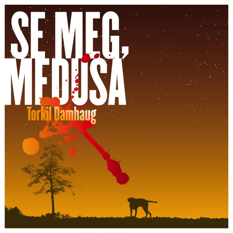Omslag Se meg, Medusa av Torkil Damhaug (Lydbok)