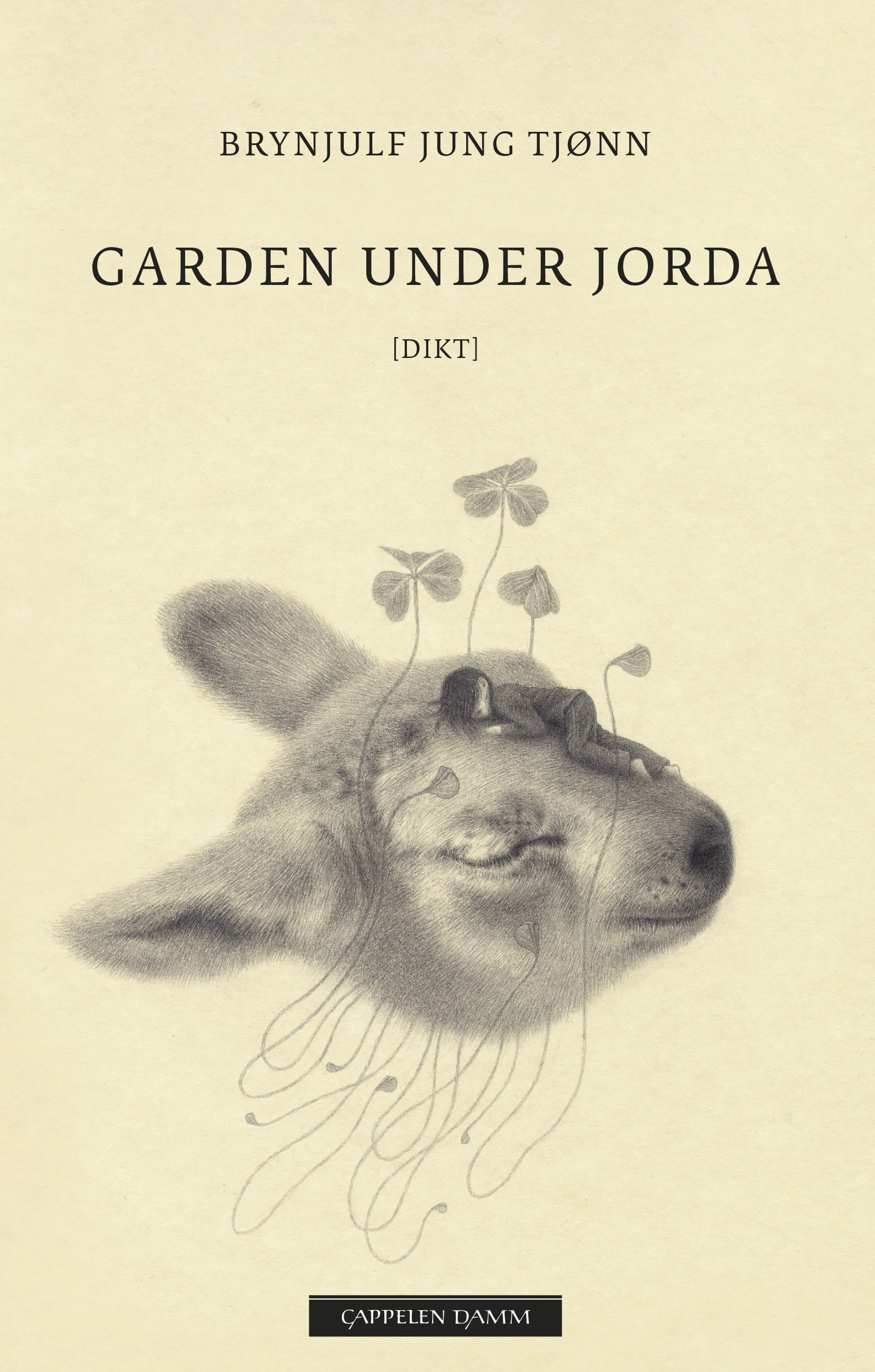 Omslag Garden under jorda av Brynjulf Jung Tjønn (Innbundet)