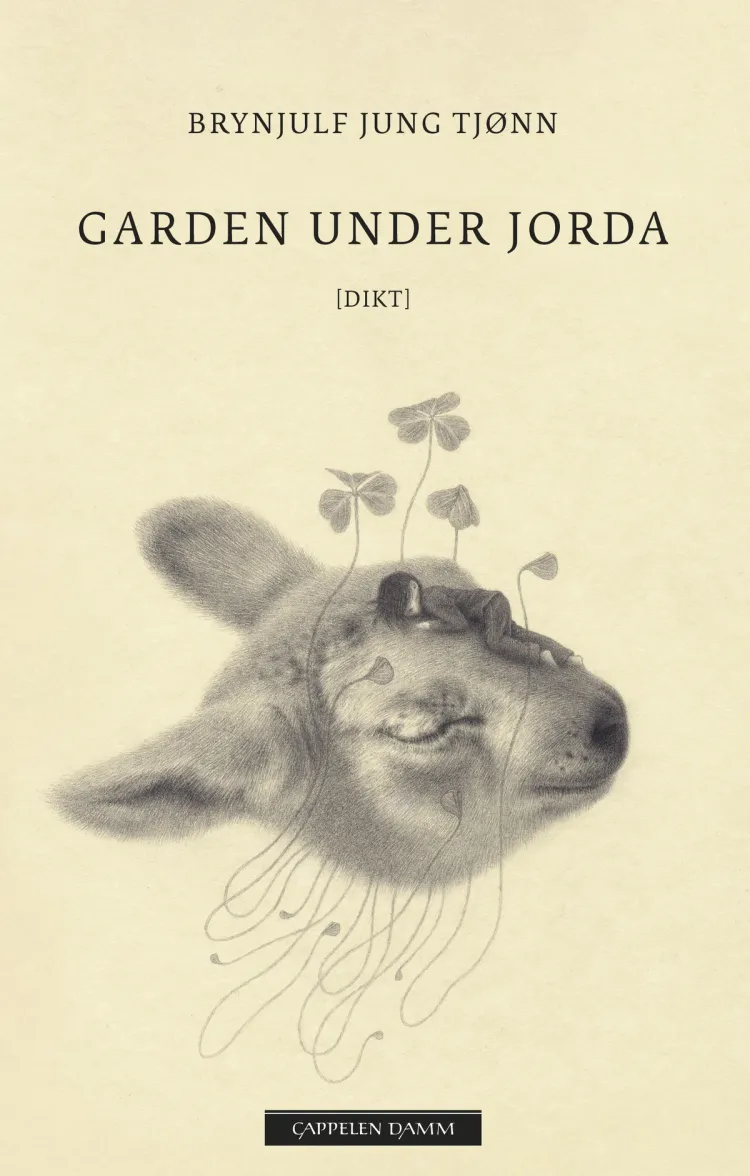 Omslag Garden under jorda av Brynjulf Jung Tjønn (Innbundet)
