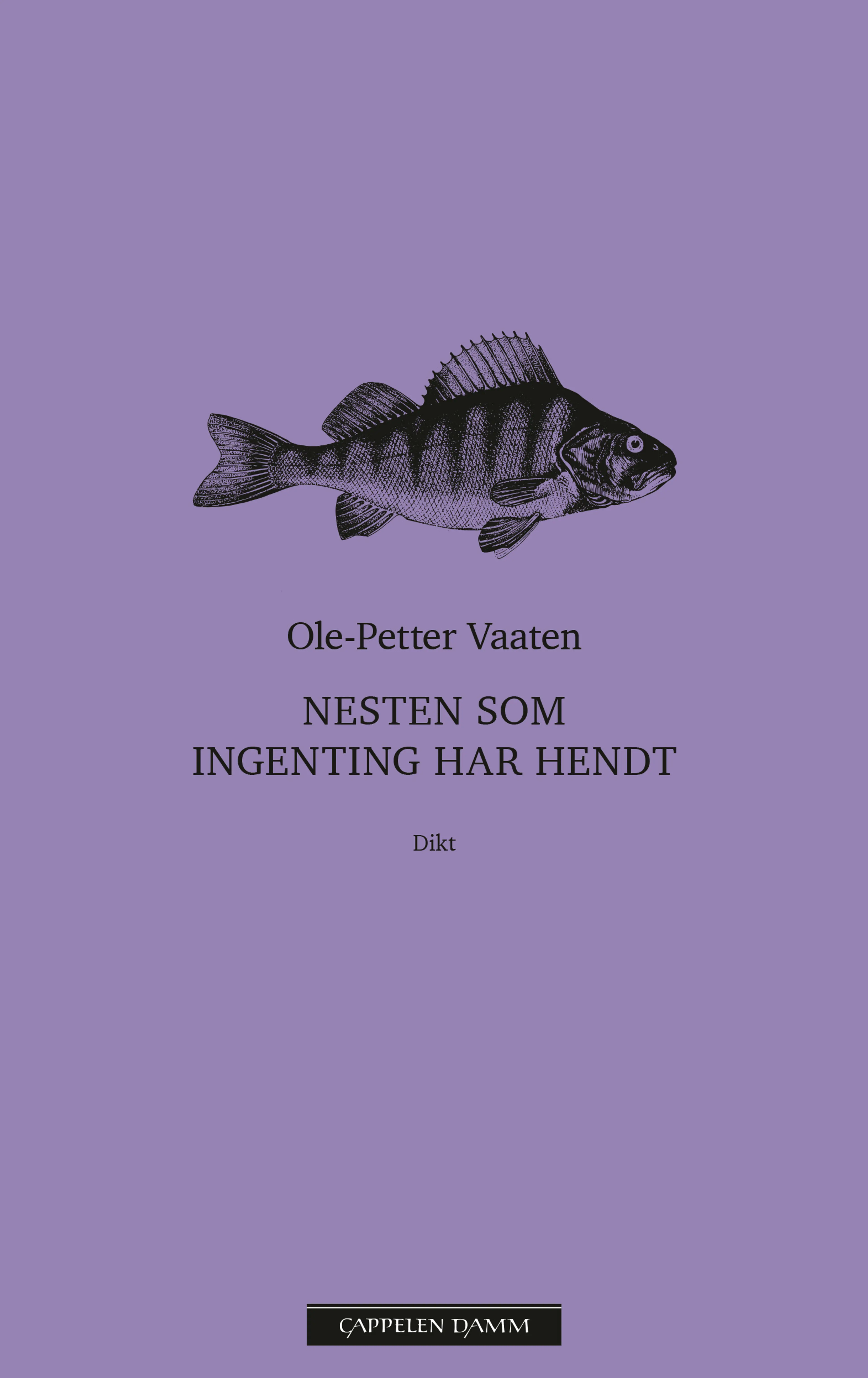 Omslag Nesten som ingenting har hendt av Ole-Petter Vaaten (Ebok)