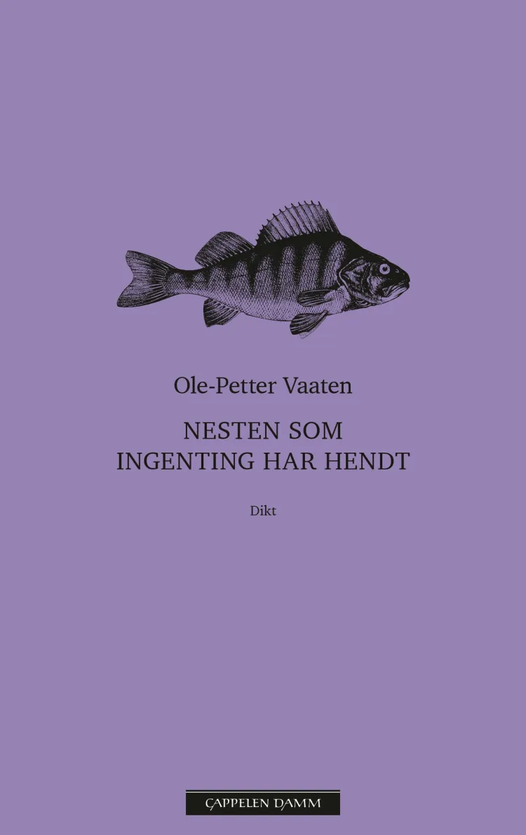 Omslag Nesten som ingenting har hendt av Ole-Petter Vaaten (Ebok)