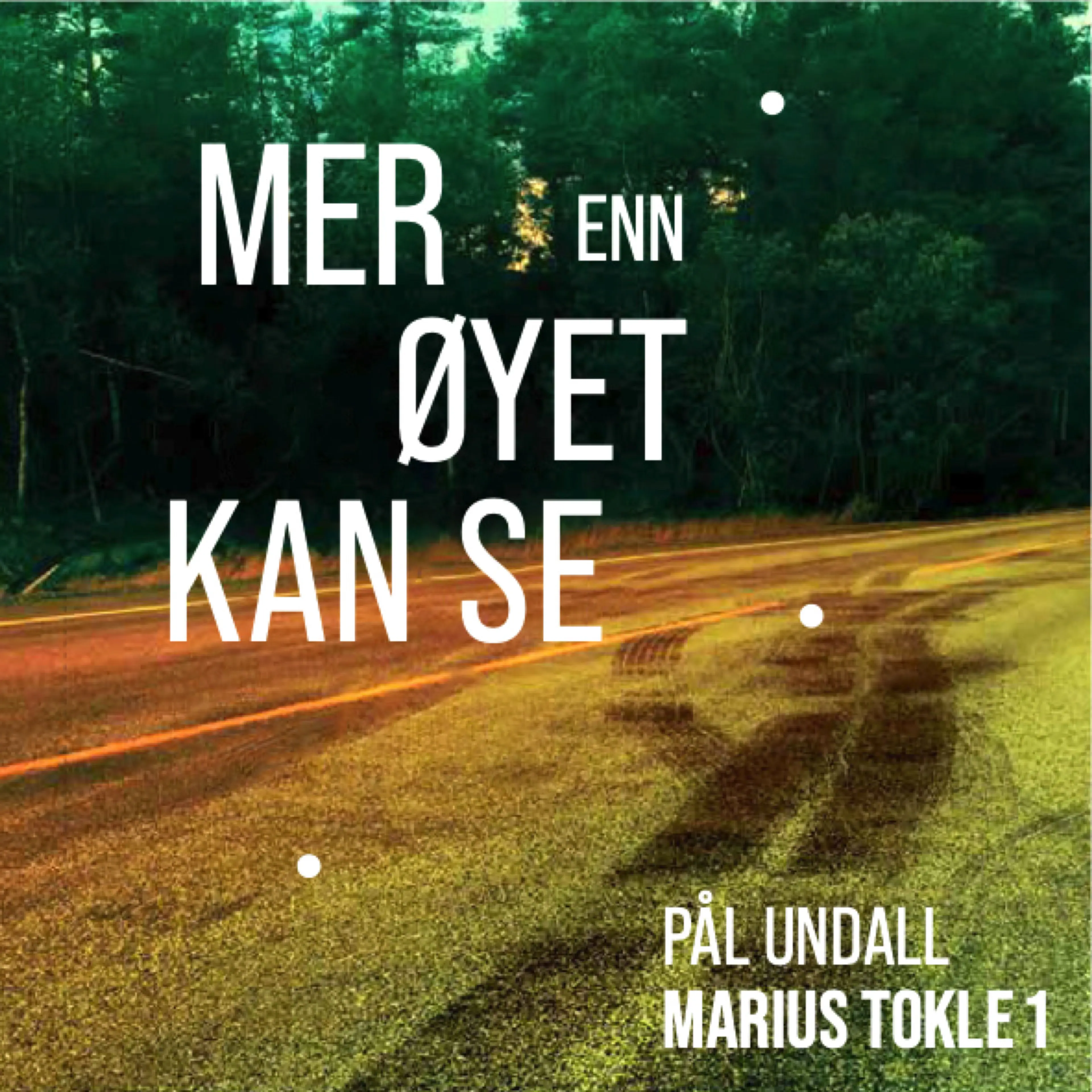 Omslag Mer enn øyet kan se av Pål Undall (Lydbok)