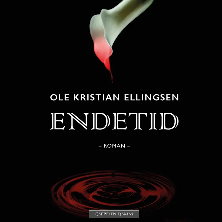 Omslag Endetid av Ole Kristian Ellingsen (Lydbok)