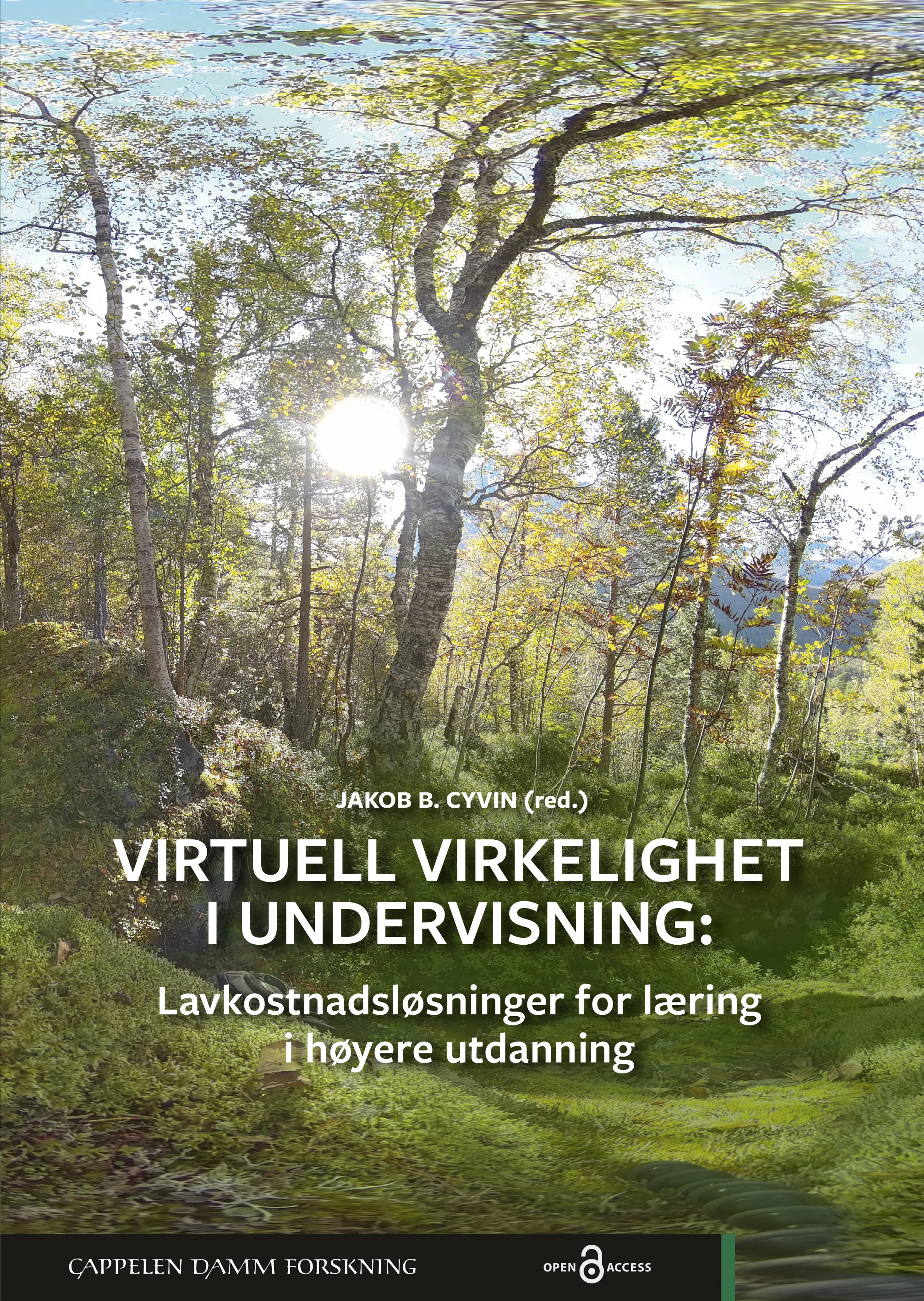 Omslag Virtuell virkelighet i undervisning av Jakob B. Cyvin (red.) (Heftet)