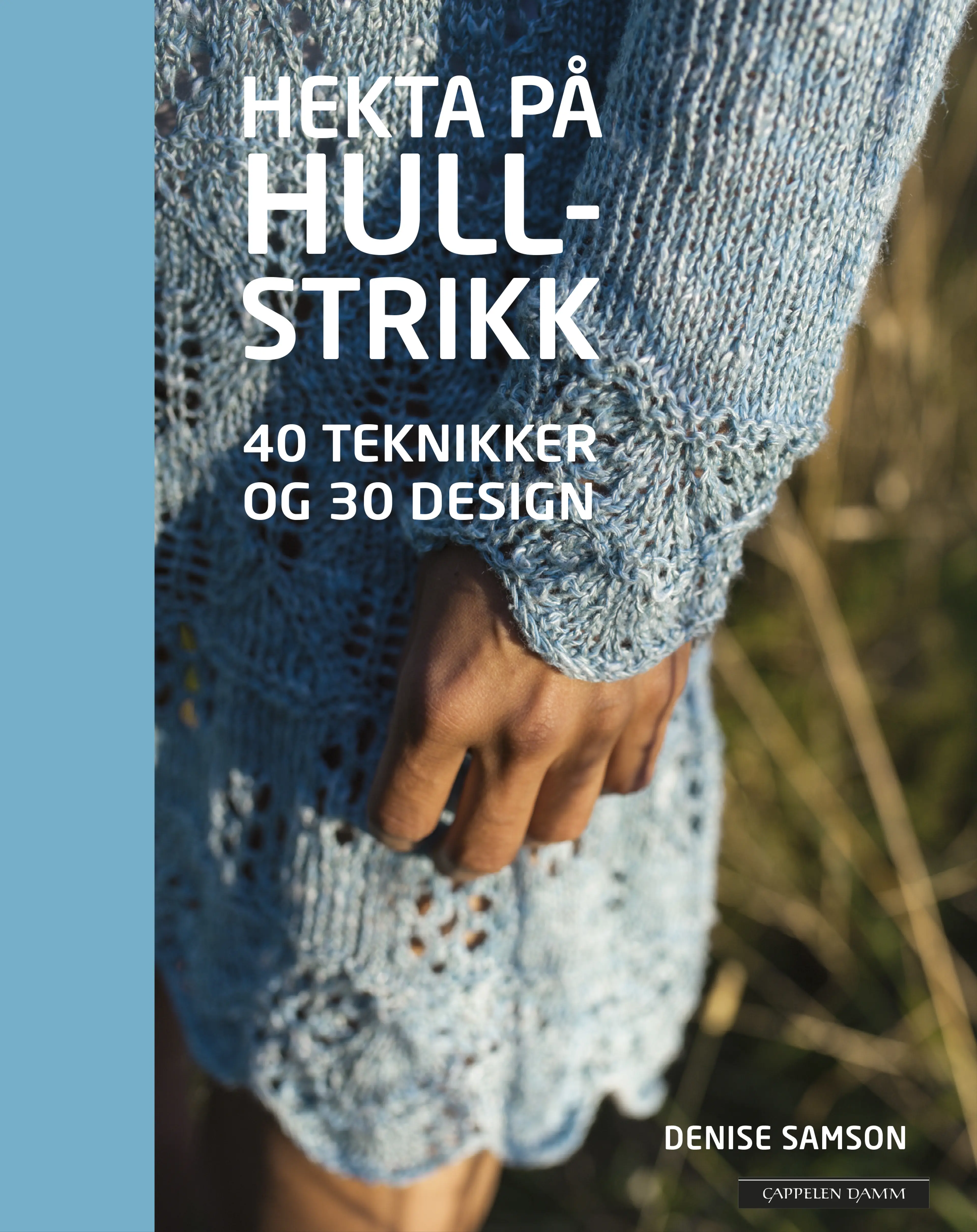 Omslag Hekta på hullstrikk av Denise Samson (Innbundet)
