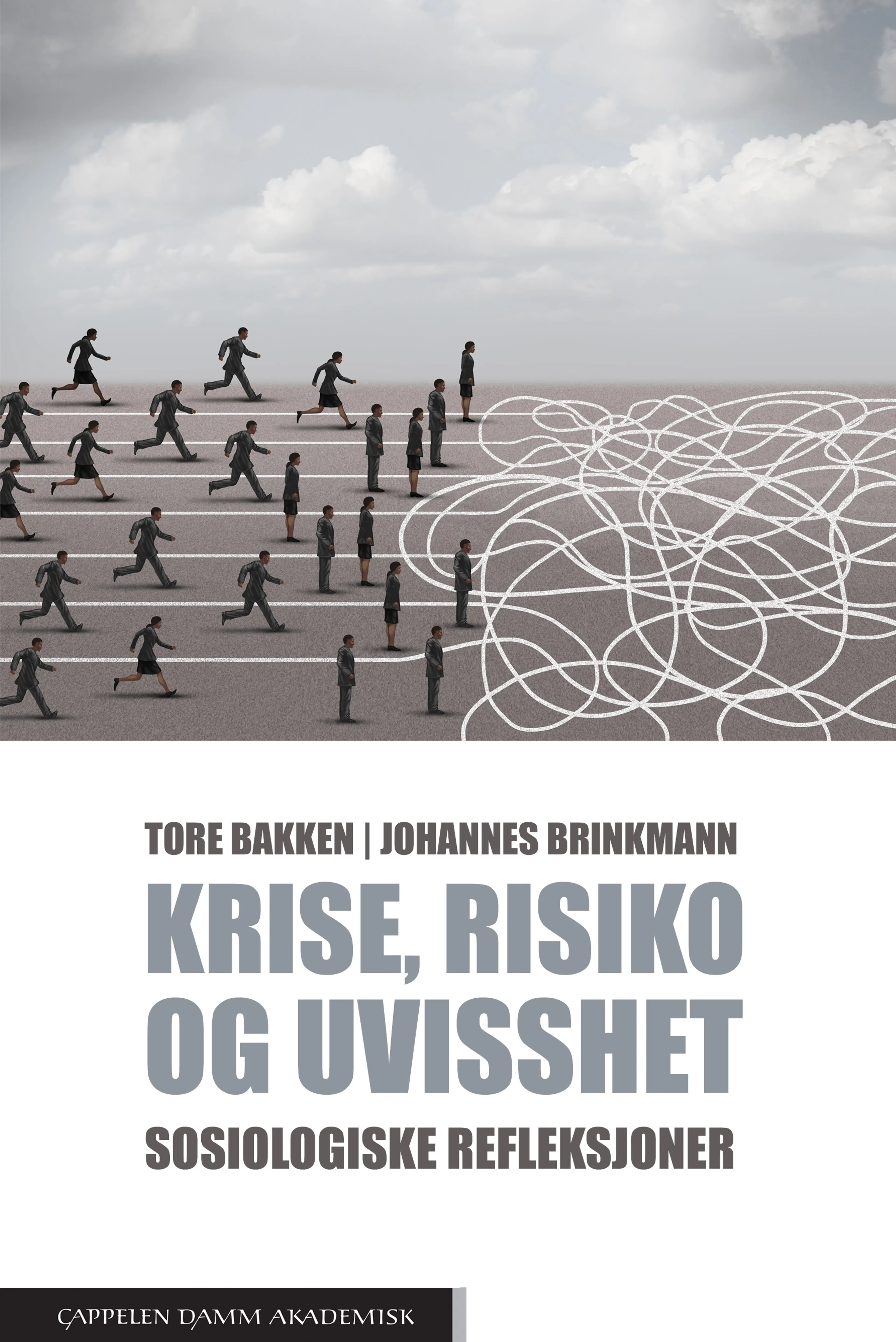 Omslag Krise, risiko og uvisshet av Tore Bakken og Johannes Brinkmann (Heftet)
