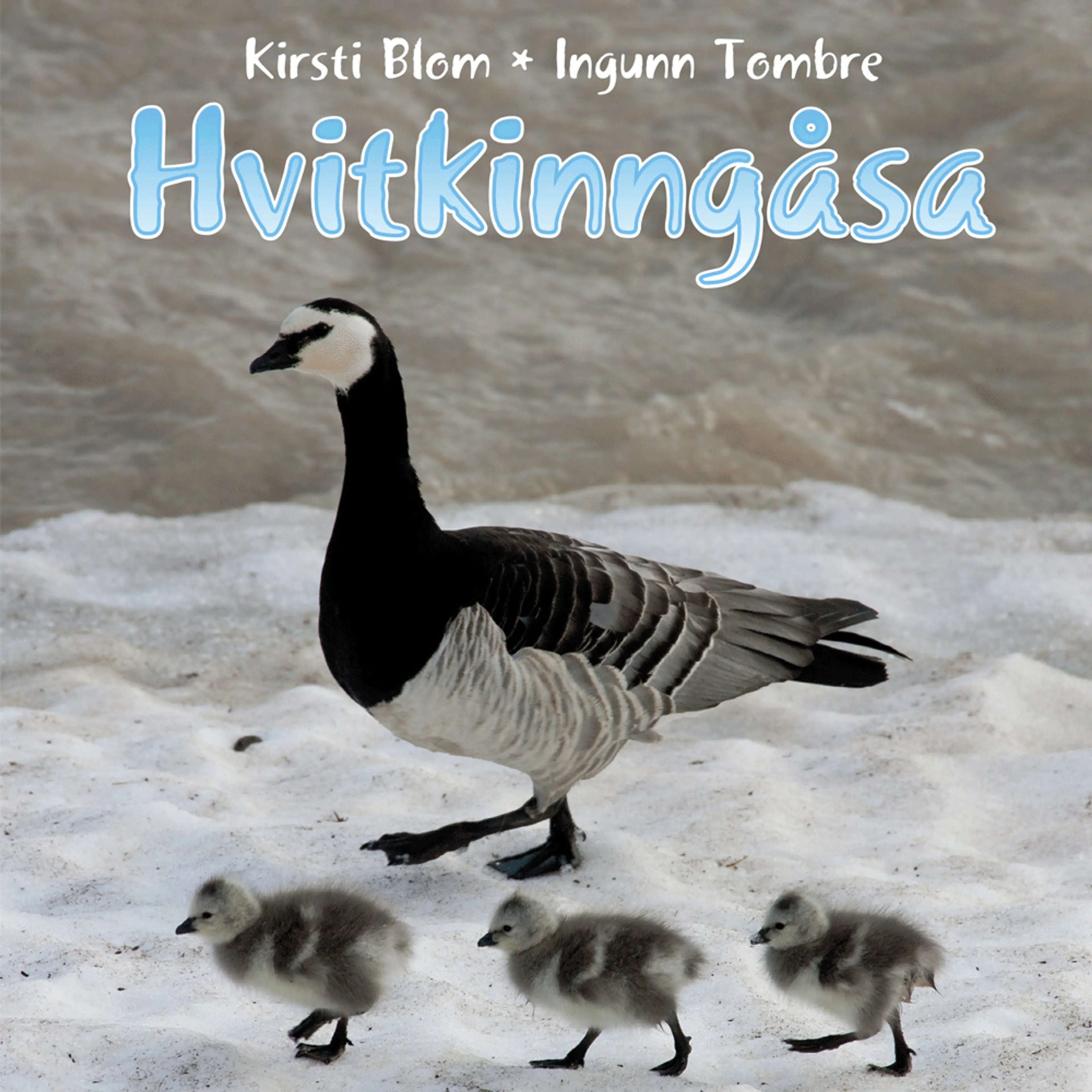 Omslag Hvitkinngåsa av Kirsti Blom og Ingunn Tombre (Lydbok)