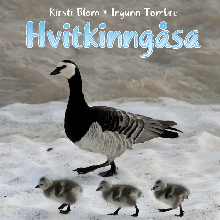 Omslag Hvitkinngåsa av Kirsti Blom og Ingunn Tombre (Lydbok)