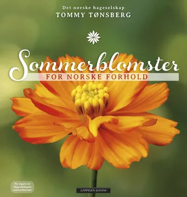 Omslag Sommerblomster for norske forhold av Tommy Tønsberg (Innbundet)