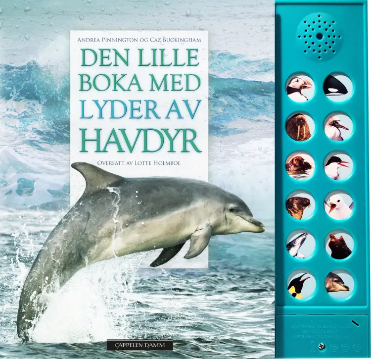 Omslag Den lille boka med lyder av havdyr av Andrea Pinnington og Caz Buckingham (Innbundet)