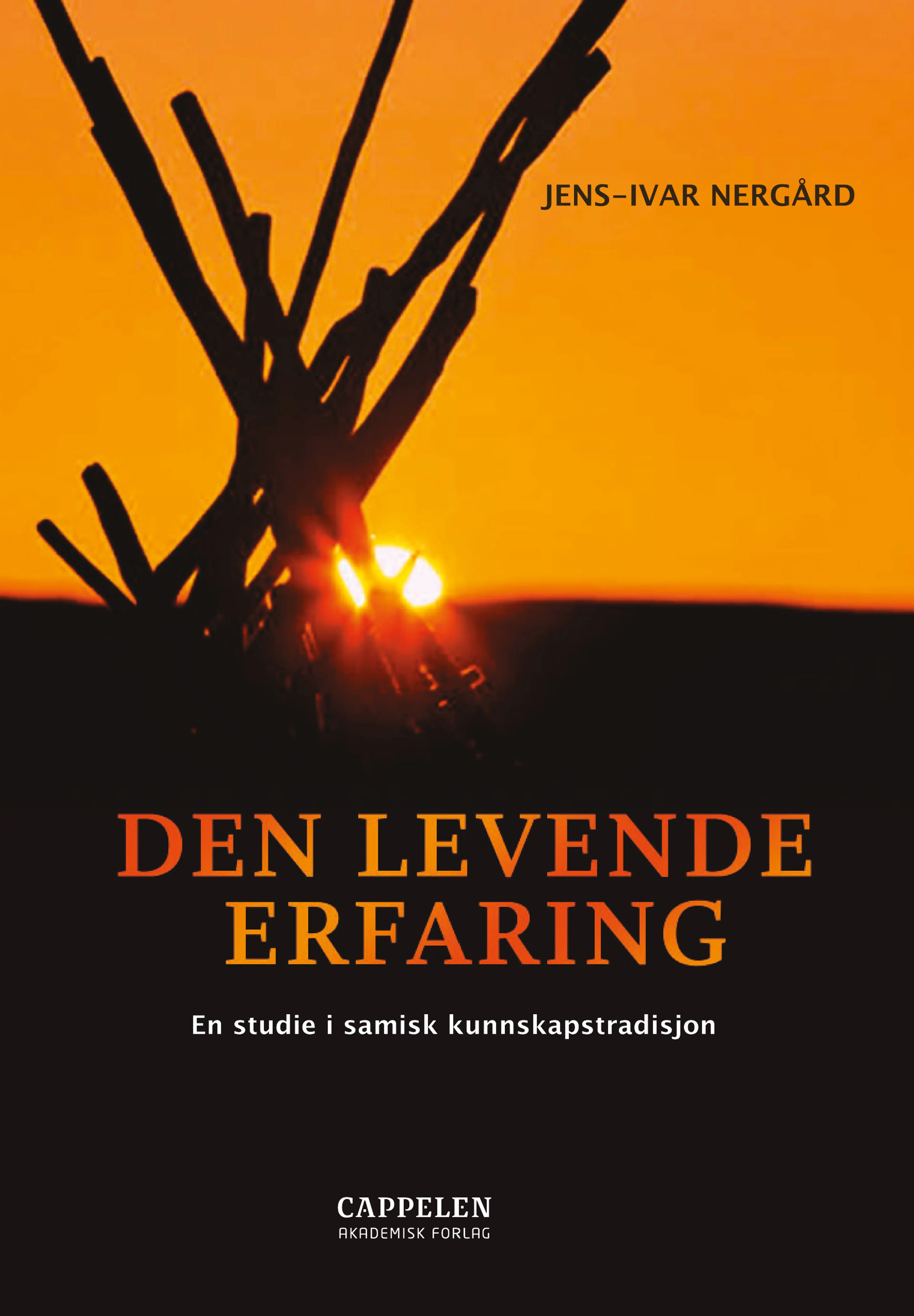 Omslag Den levende erfaring av Jens-Ivar Nergård (Heftet)