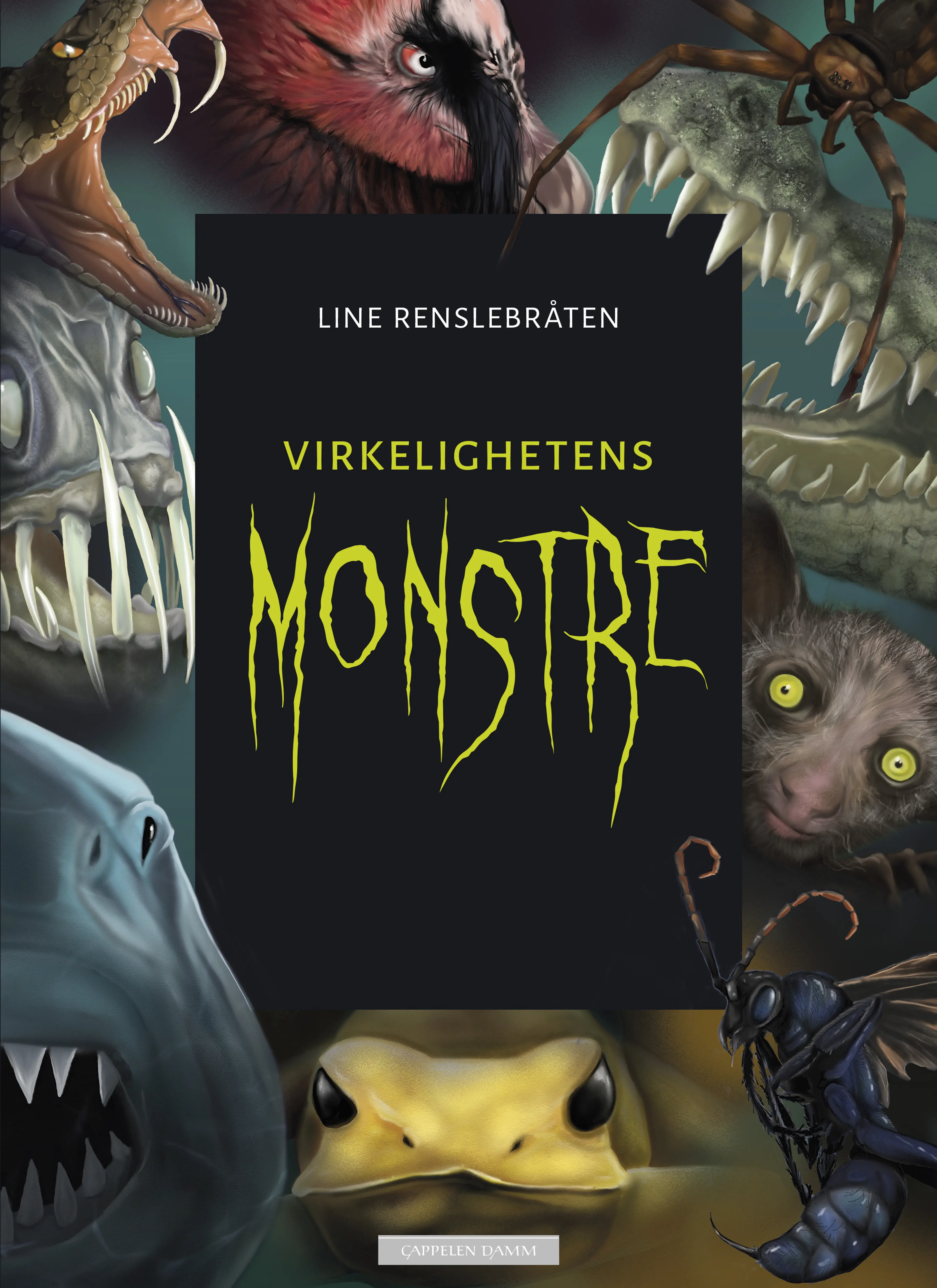 Omslag Virkelighetens monstre av Line Renslebråten (Innbundet)