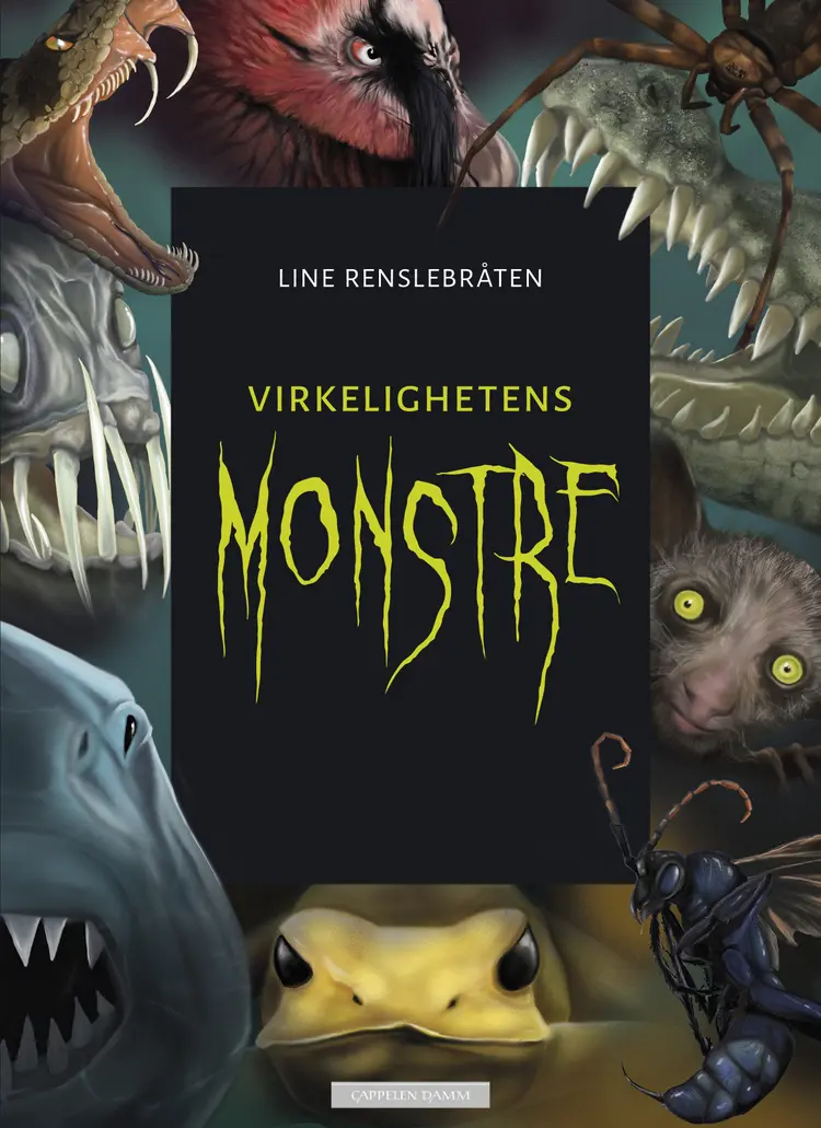 Omslag Virkelighetens monstre av Line Renslebråten (Innbundet)