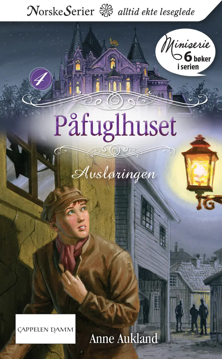 Omslag Avsløringen av Anne Aukland (Ebok)